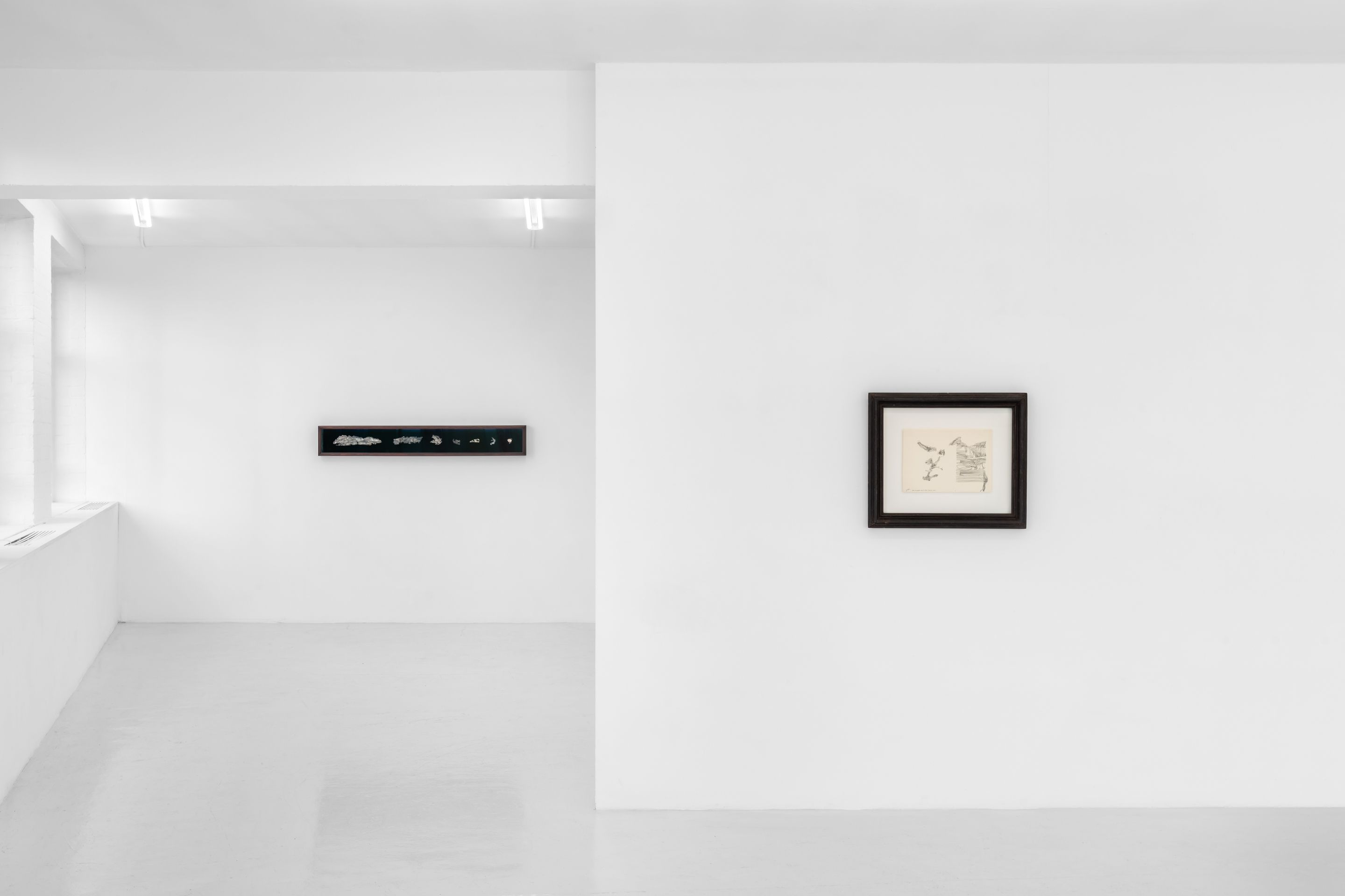 Zaza', image 19 of 23