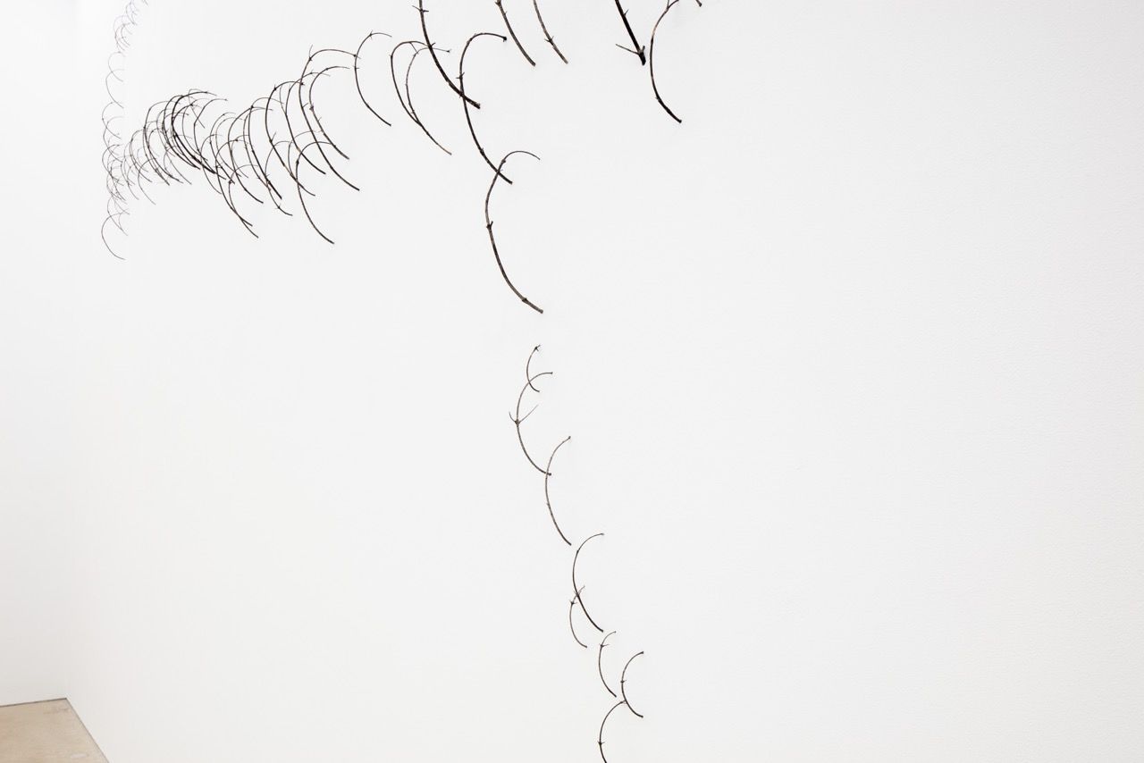Vajiko Chachkhiani, Death Chase at Daniel Marzona, photo 3
