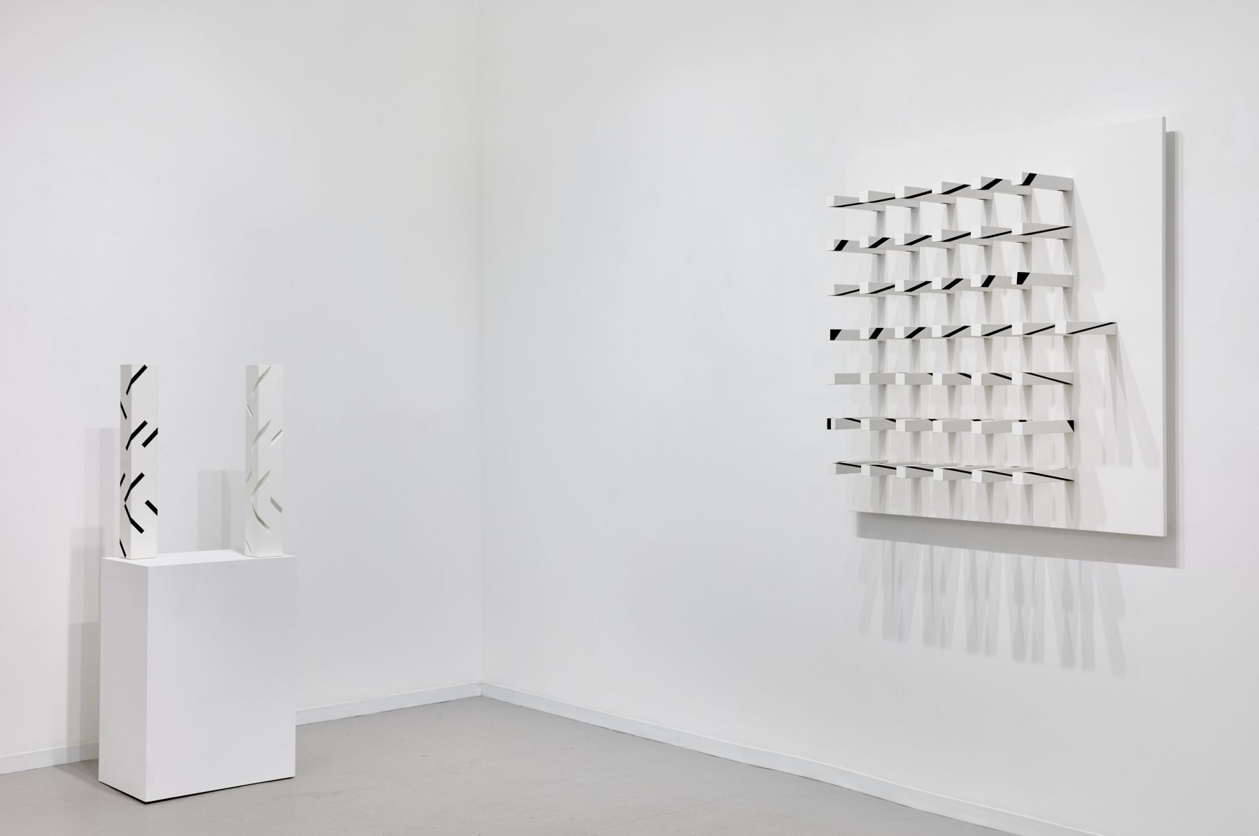 Roland Gebhardt, Diverse Vocabularies at David Richard Gallery, photo 6