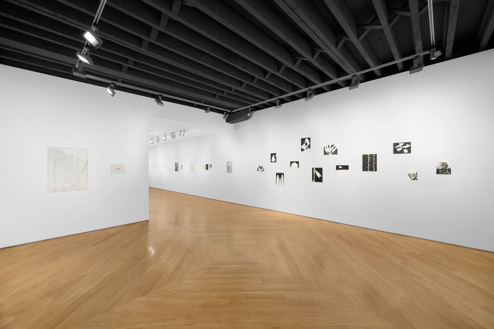 Jochen Lempert, Jochen Lempert at Anton Kern, photo 2