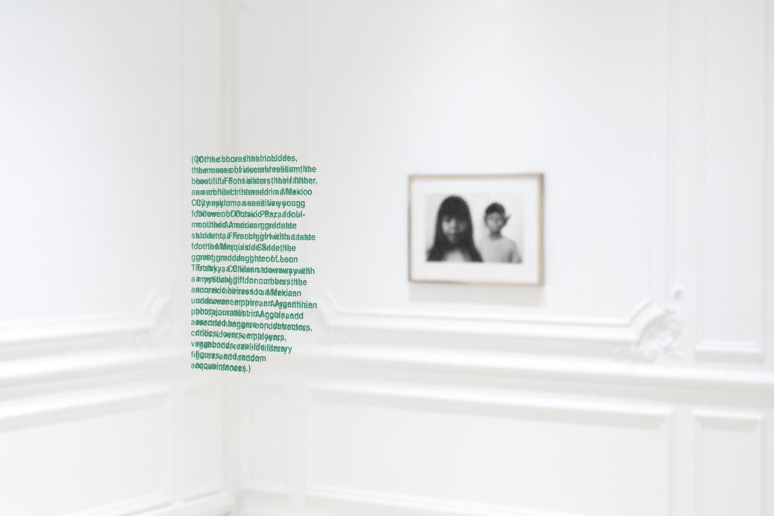 Rirkrit Tiravanija, In Aliens We Trust at Chantal Crousel, photo 5