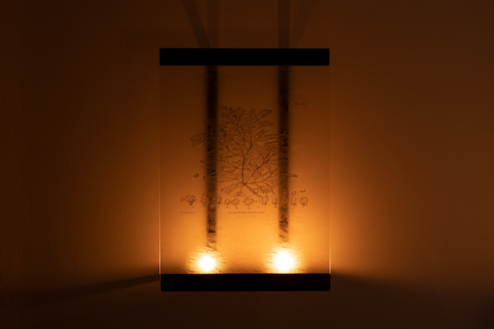 Anna Mikkola, Ghosts (Redux) at L'Inconnue, photo 11