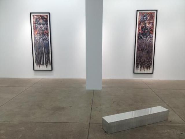 Dinh Q. Lê, Warf, Woof, Zero, One at P.P.O.W, photo 3