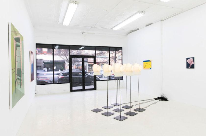 Caitlin MacBride & Sam Stewart, Useless Flowers at Fisher Parrish, photo 4