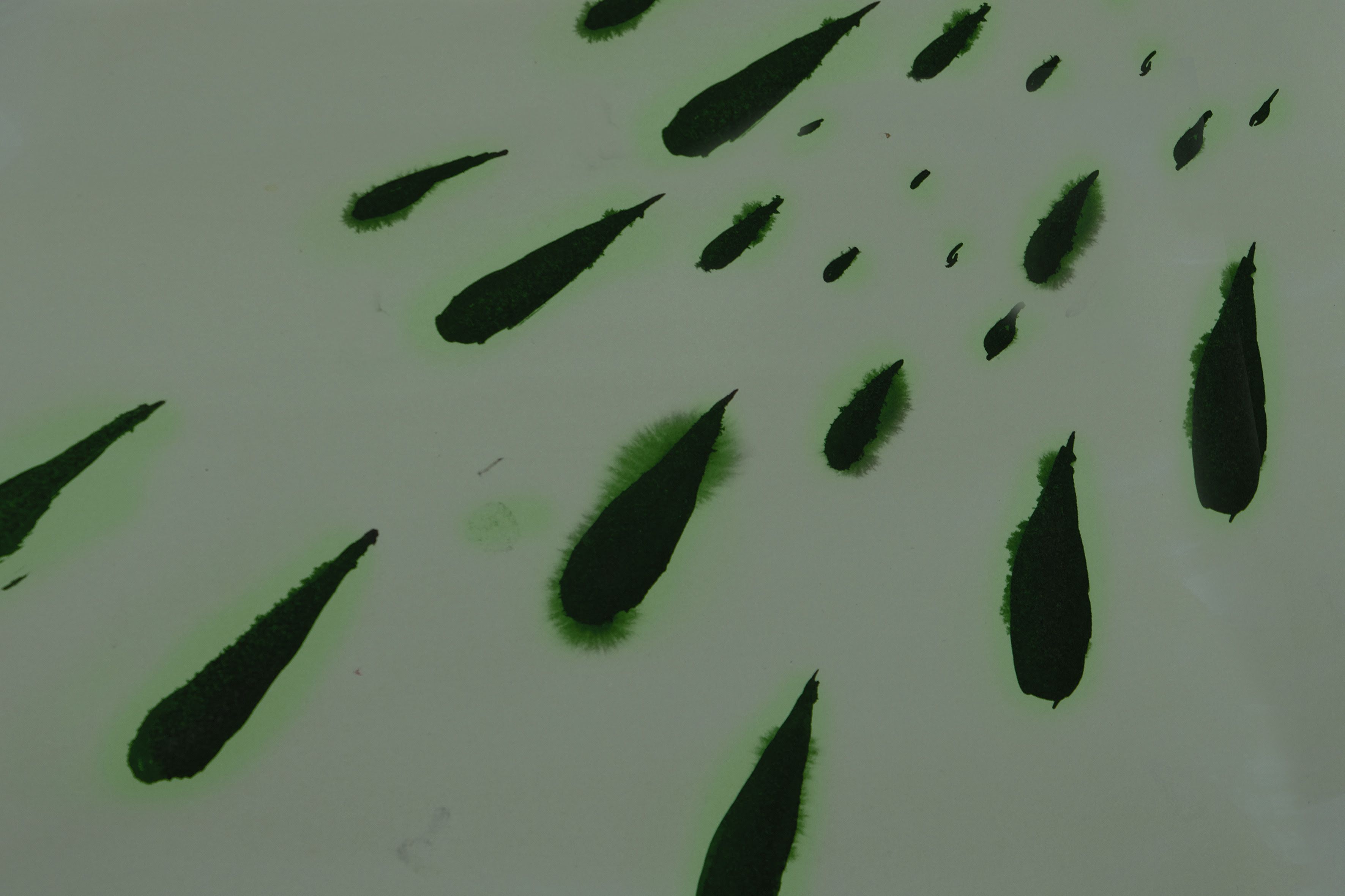 Birgit Brenner & Ricarda Roggan, Films at Eigen + Art, photo 2