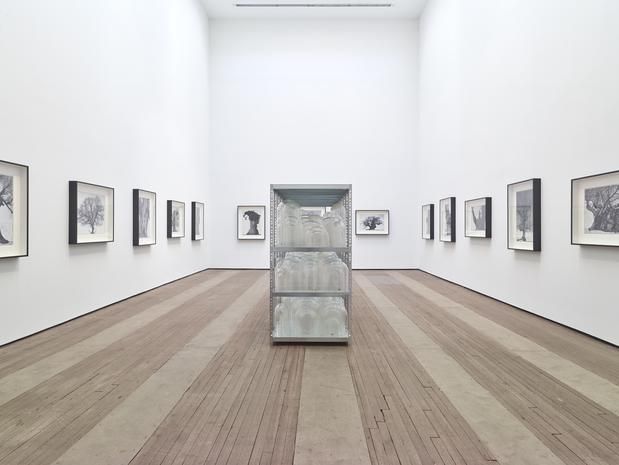 Patrick Van Caeckenbergh, Patrick Van Caeckenbergh at Lehmann Maupin, photo 2