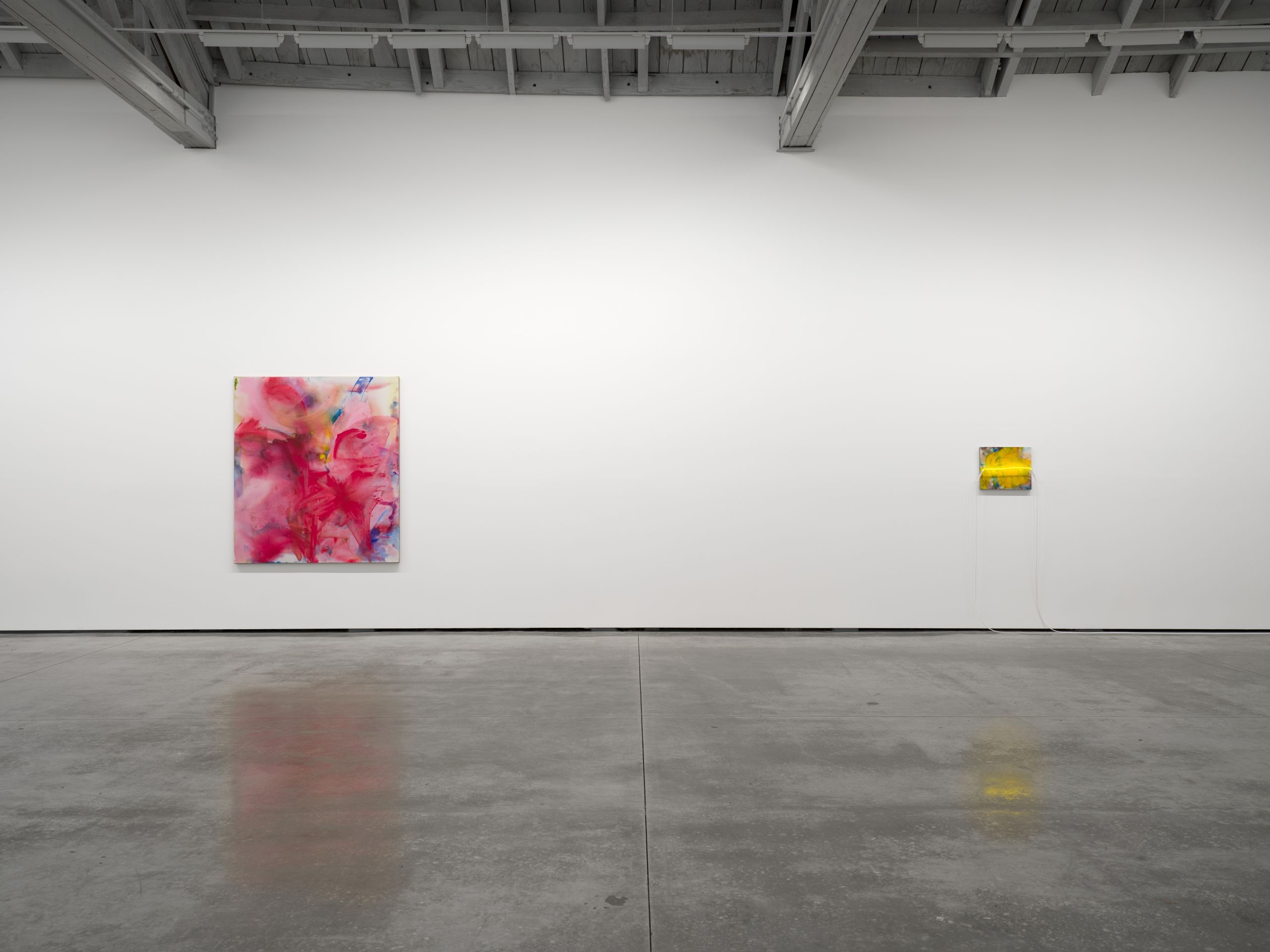 Mary Weatherford, Mountains Mud Prisms Air at David Kordansky Gallery, photo 14