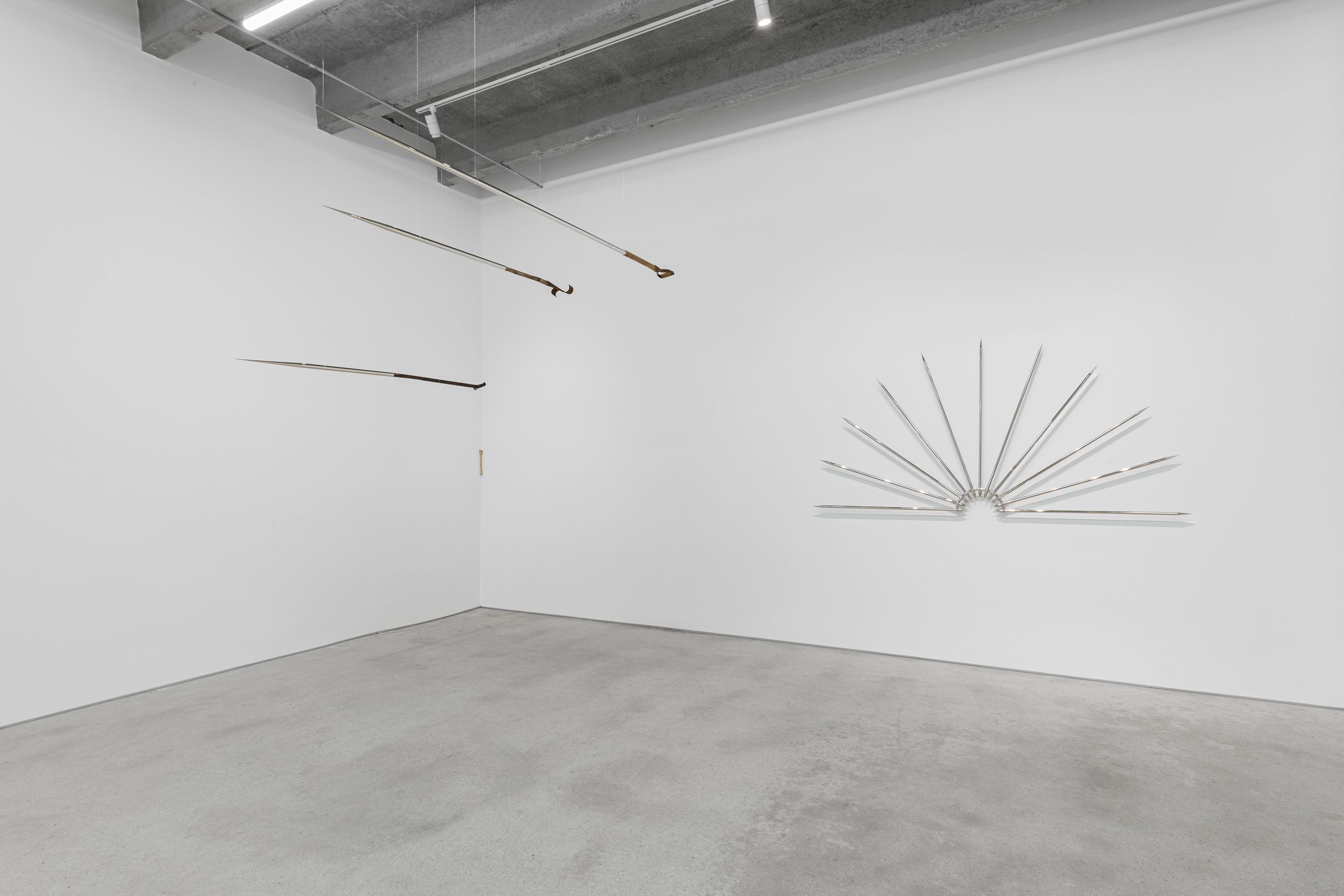 Nikita Kadan, The Radial Bone at Voloshyn, photo 3
