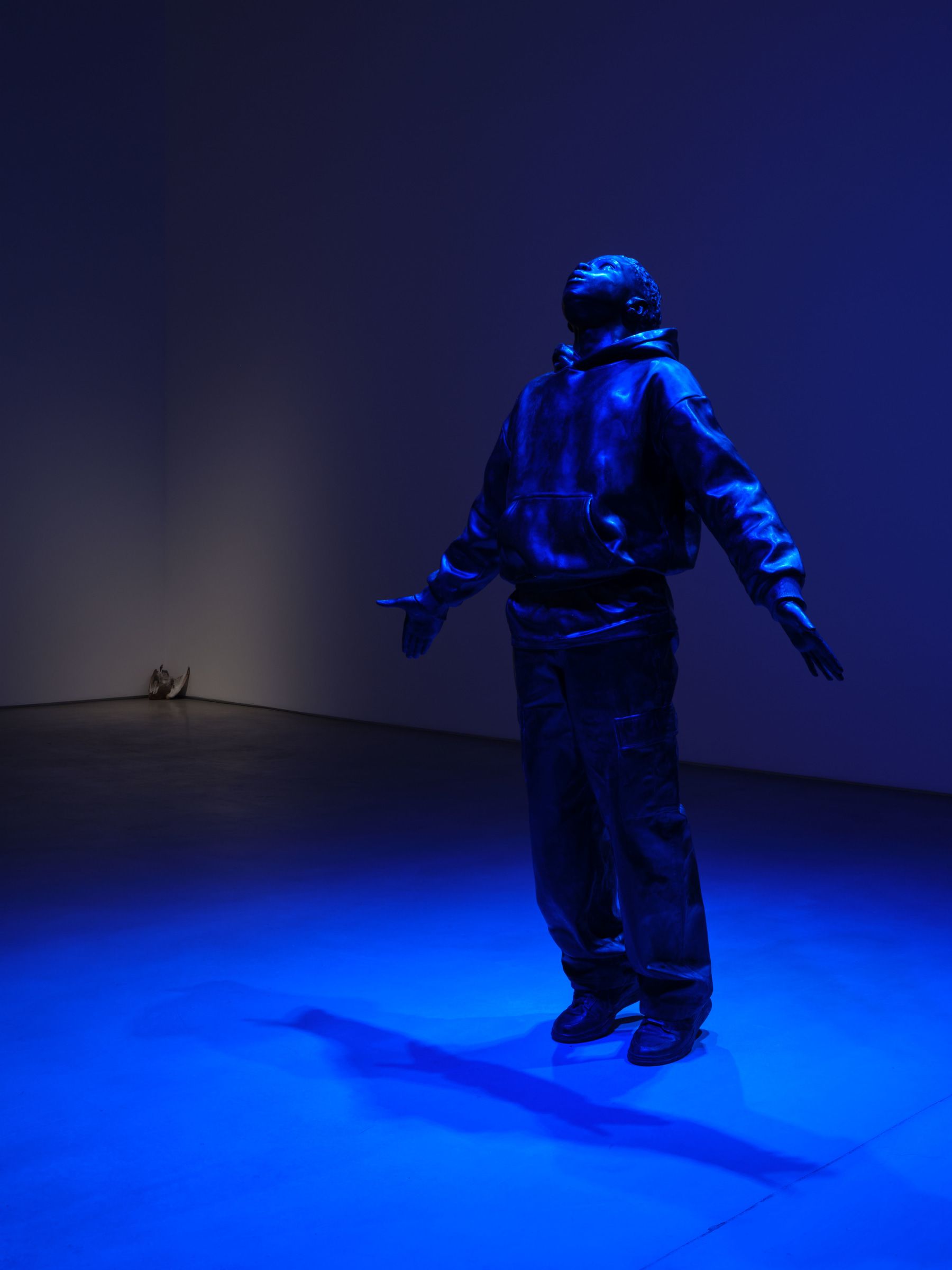 Esmaa Mohamoud, What Does Webster’s Say About Soul? at Roberts Projects, photo 7