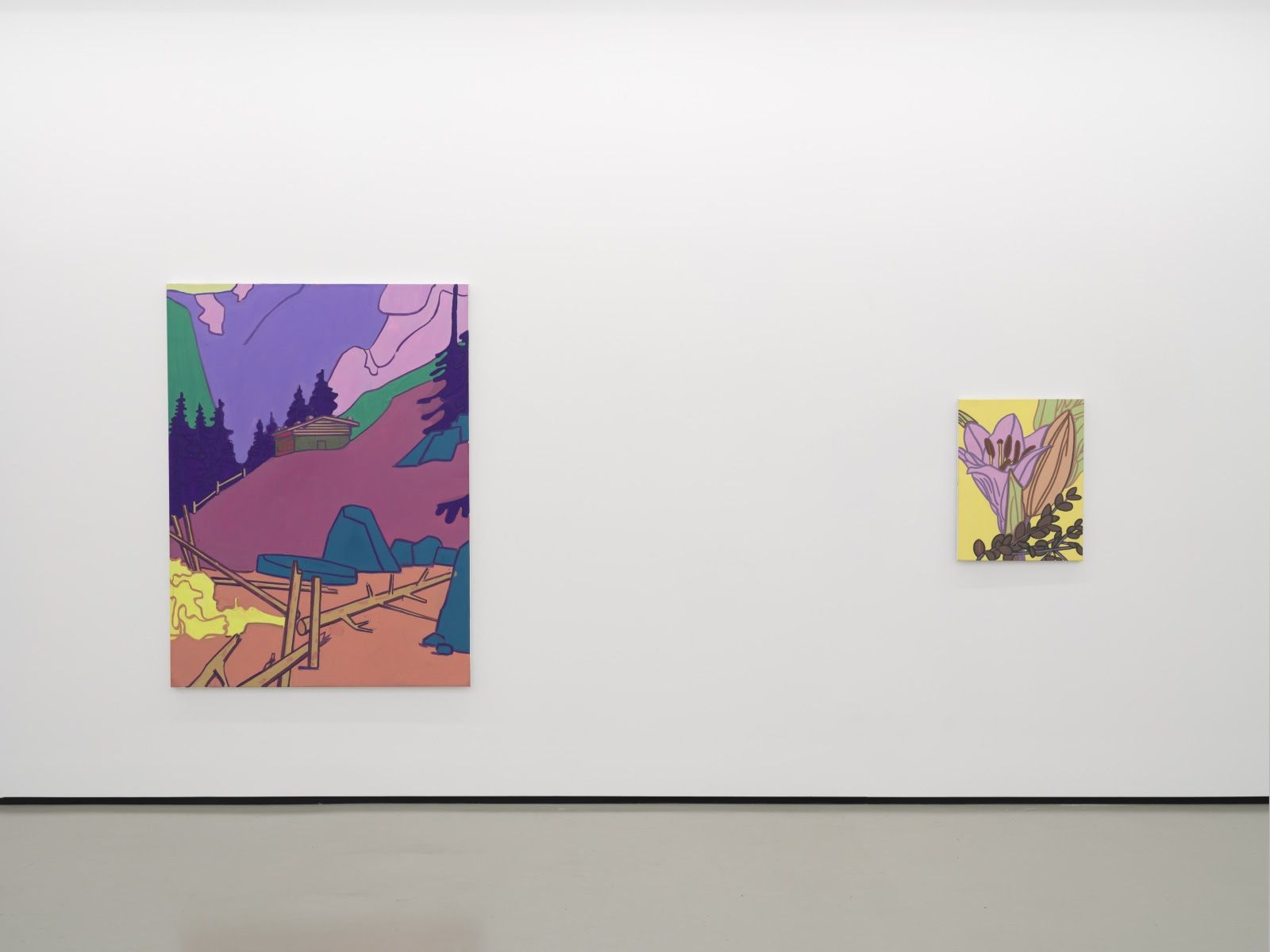 Hubert Schmalix, Flower, Figure, Landscape at Philip Martin Gallery, photo 4