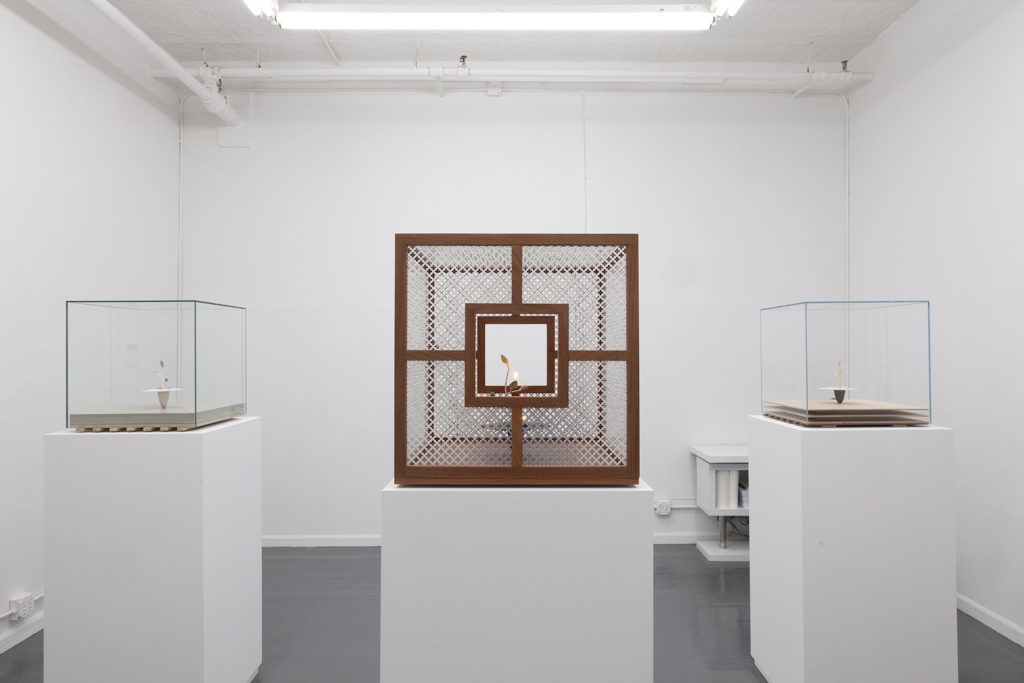 Anders Hamilton, image 3 of 32