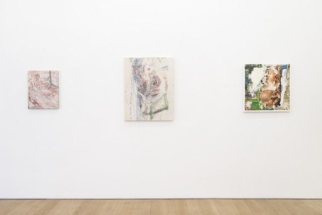 Lucas Ajemian, Laundered Paintings at Marlborough, photo 3