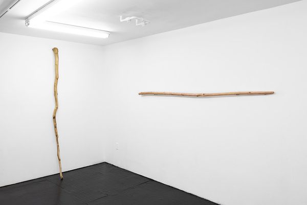 Naoki Sutter-Shudo, Don Pur de la Nature at Bodega, photo 2