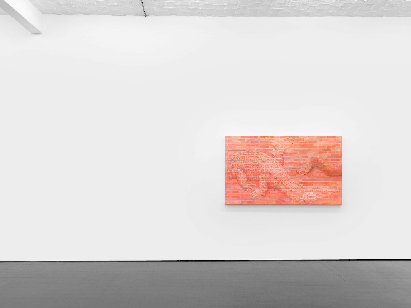 Monika Baer, The Inside Out at Barbara Weiss, photo 3