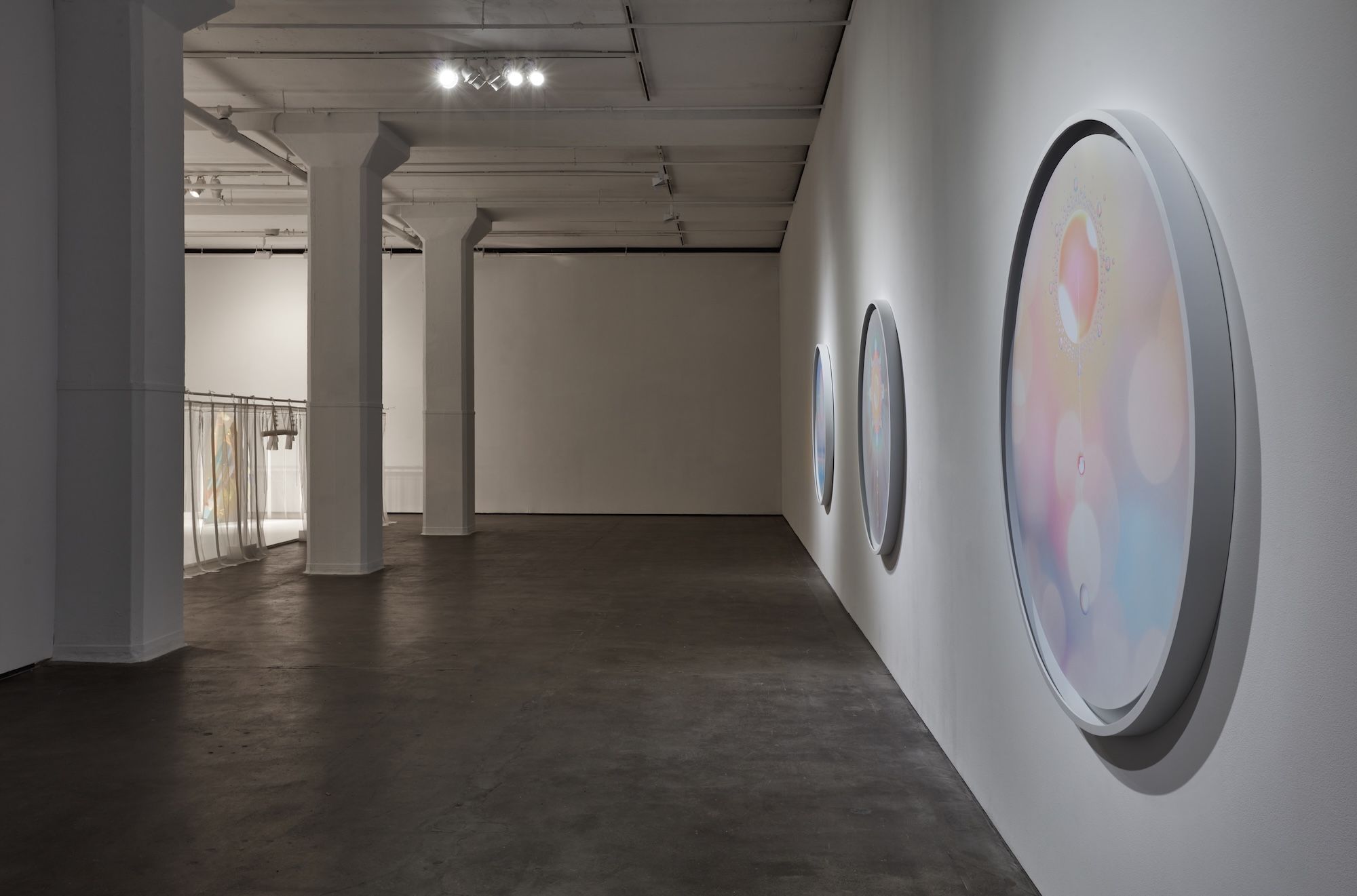 Installation view 5