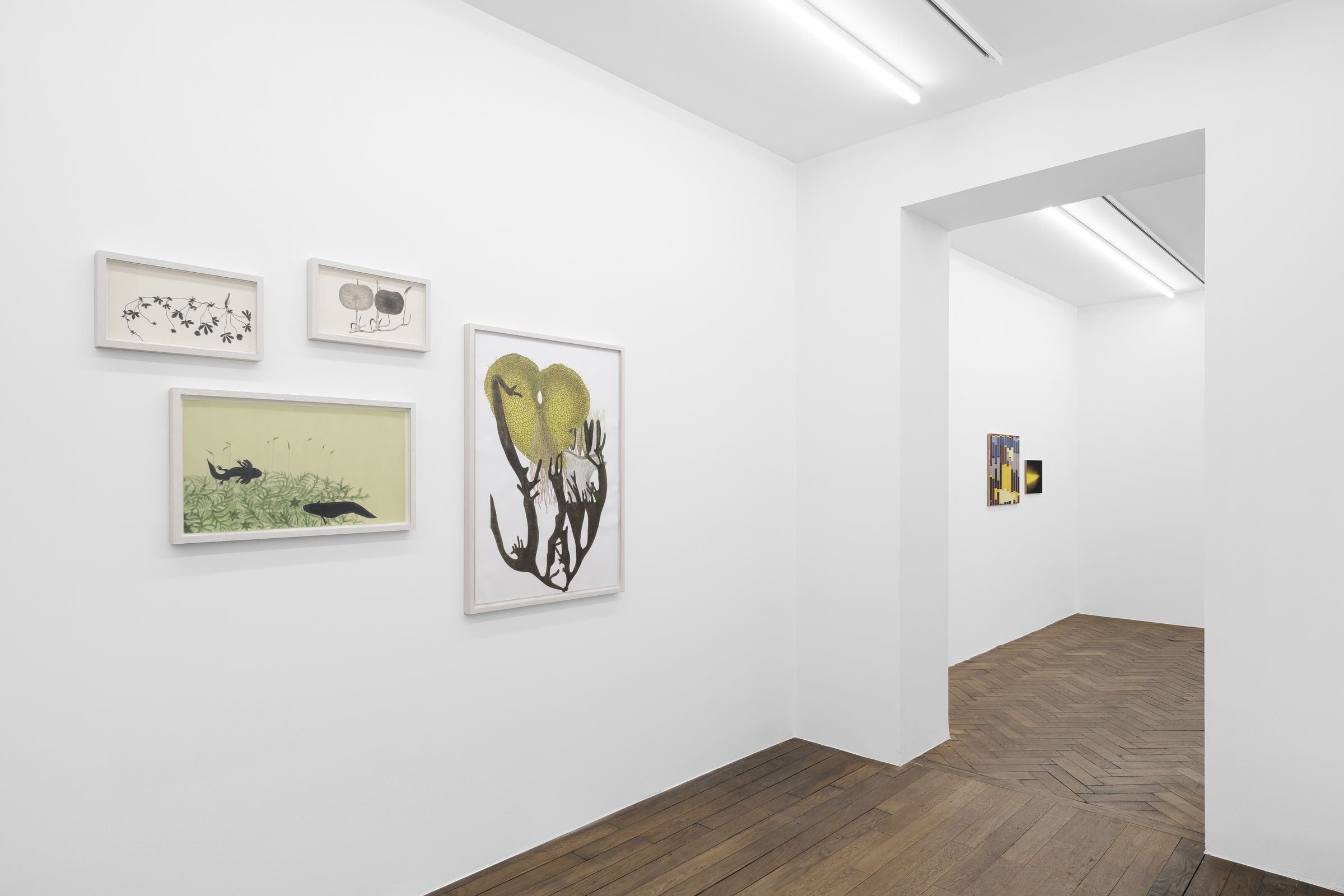 Melanie Smith, An Age of Liberty When the World Had Been Possible at Peter Kilchmann, photo 7