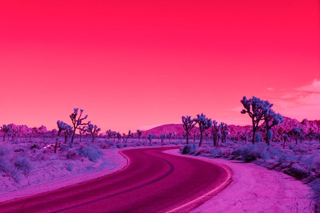 Kate Ballis, Hypercolour Fantasy: Infra Realism at Garis & Hahn, photo 3