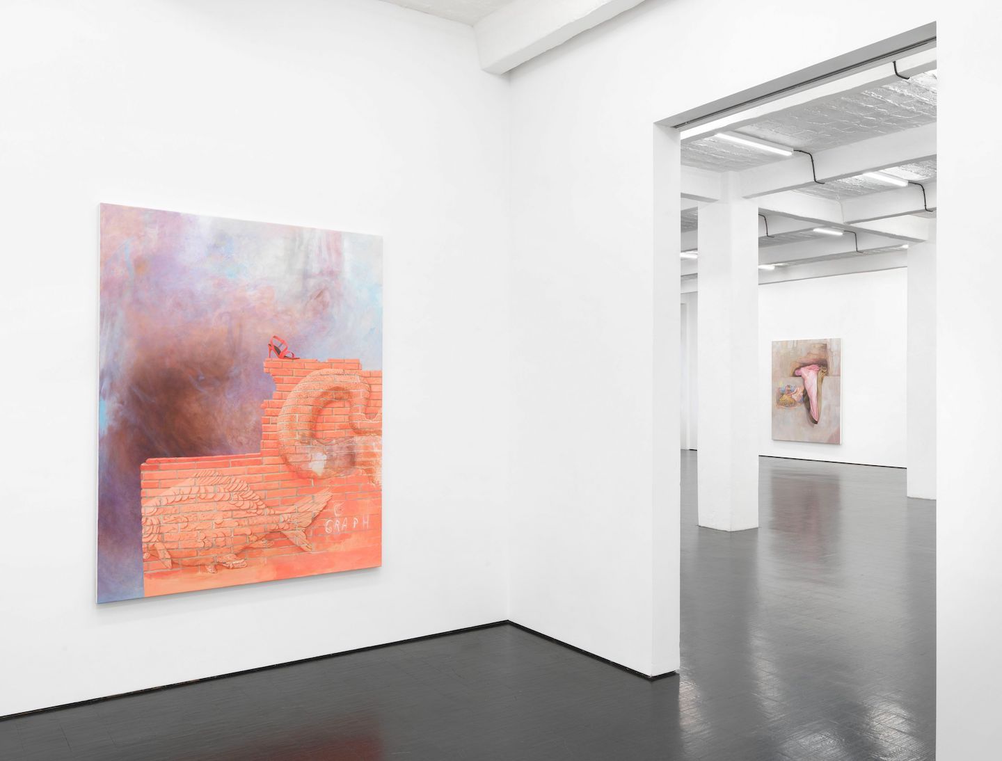 Monika Baer, The Inside Out at Barbara Weiss, photo 7