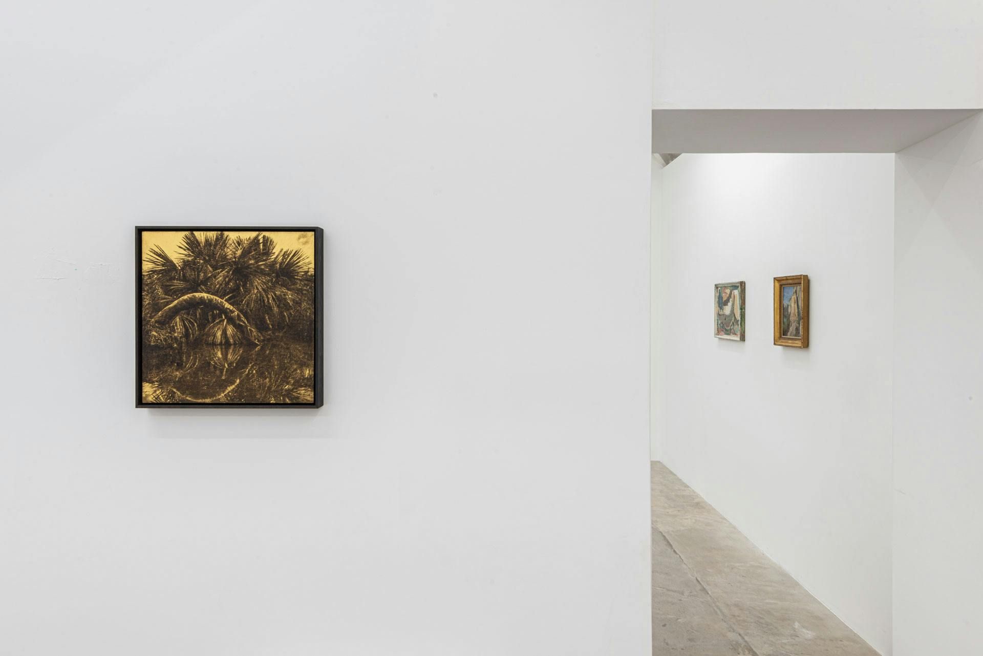 Cirrus: On Landscape, Cirrus: On Landscape at Niso, photo 10