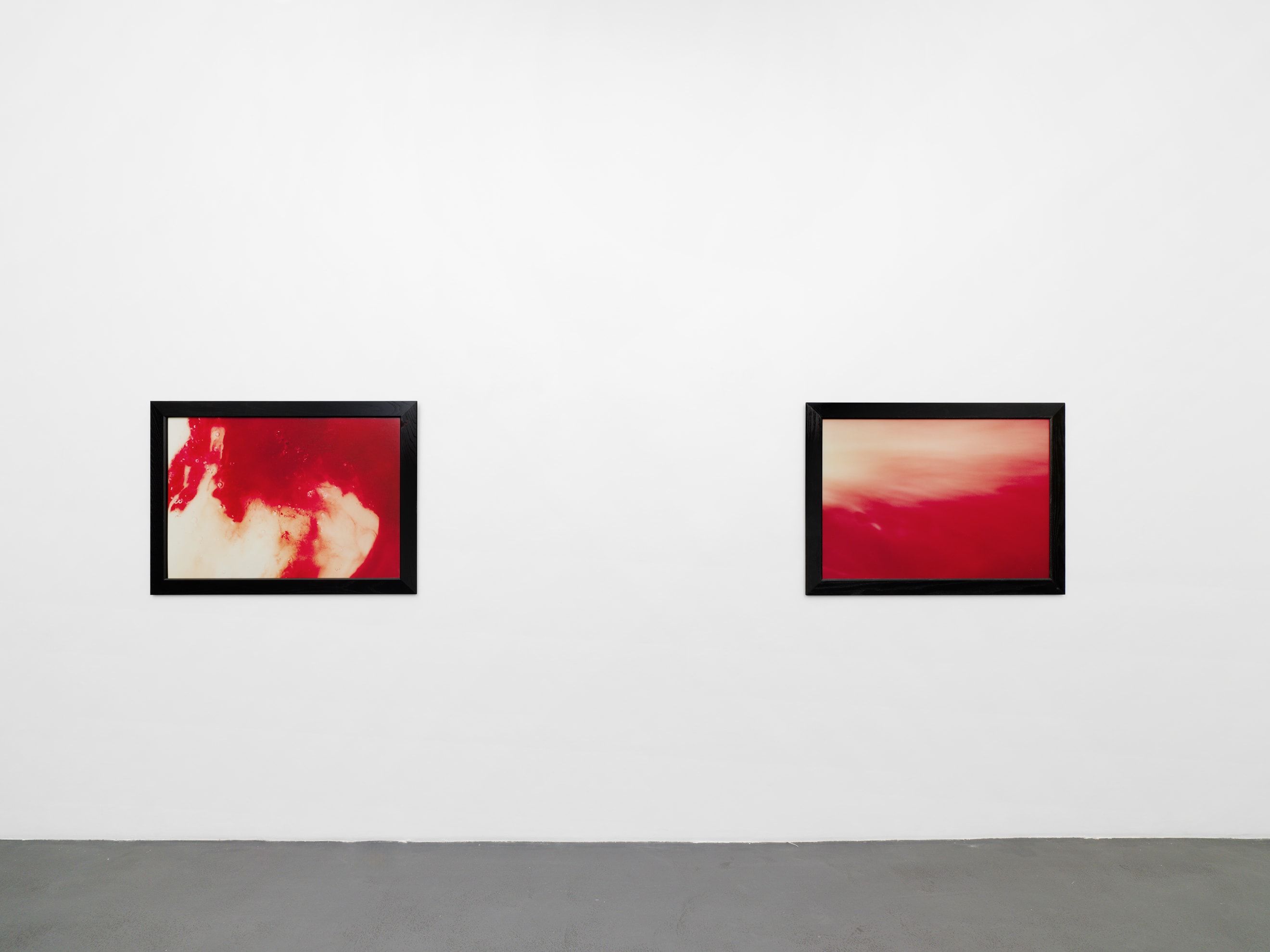 Andres Serrano, A Personal Mythology Immersions and Bodily Fluids at Nathalie Obadia, photo 6
