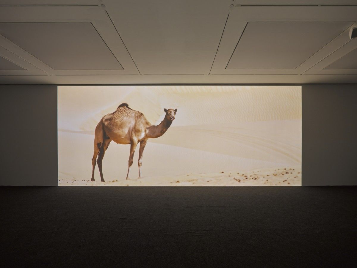 Sarah Morris, Machines Do Not Make Us Into Machines at White Cube, photo 5