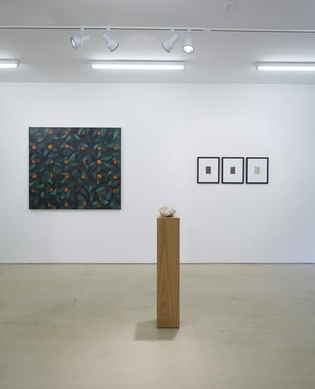 Ordering Nature, image 4 of 4