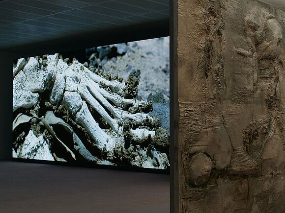 Pierre Huyghe, image 3 of 5
