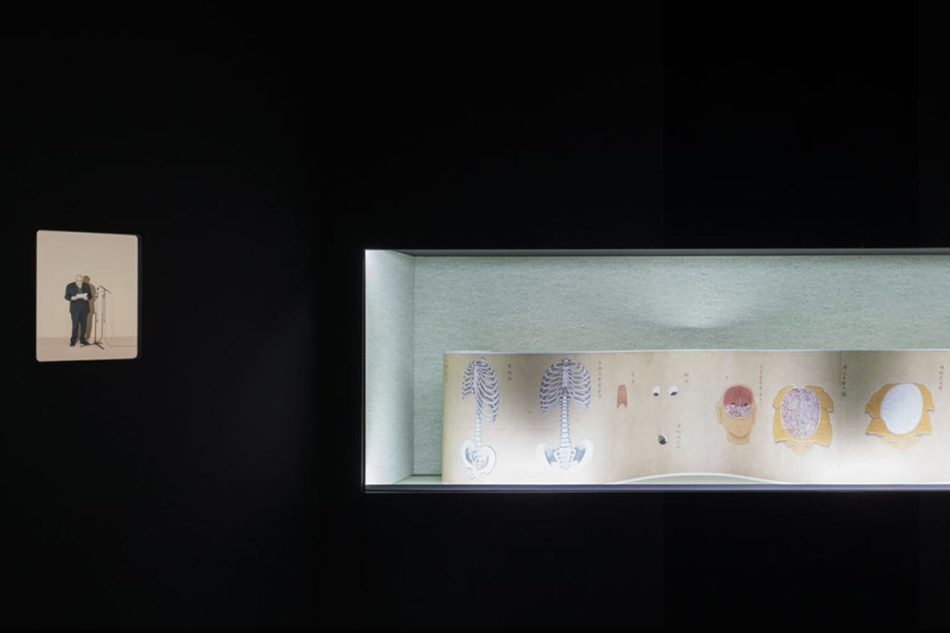 Human Brains, Human Brains at Fondazione Prada, photo 5