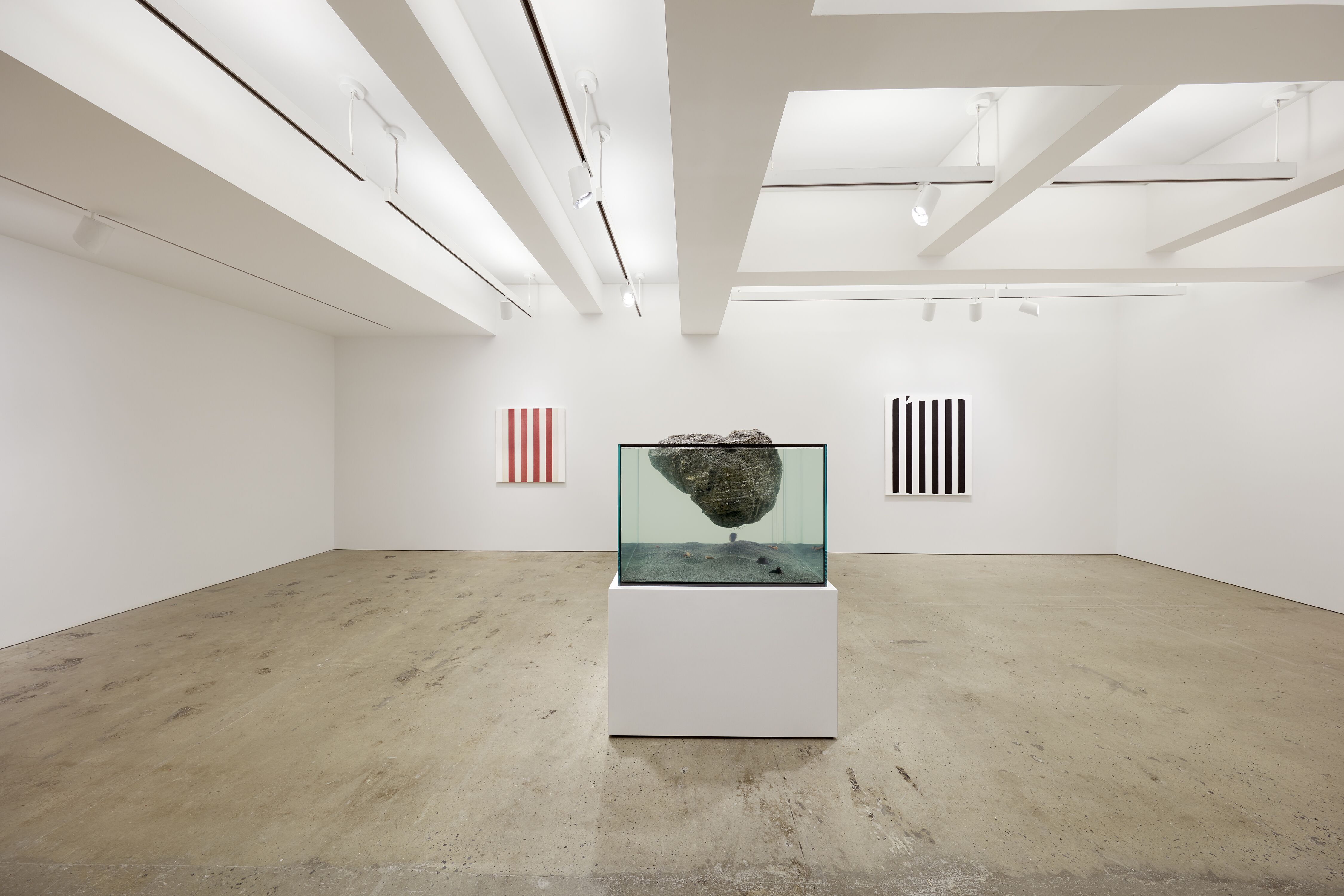 Daniel Buren & Pierre Huyghe, Daniel Buren & Pierre Huyghe at Nahmad Contemporary, photo 2