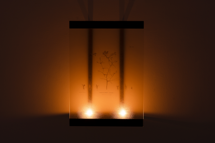 Anna Mikkola, Ghosts (Redux) at L'Inconnue, photo 9