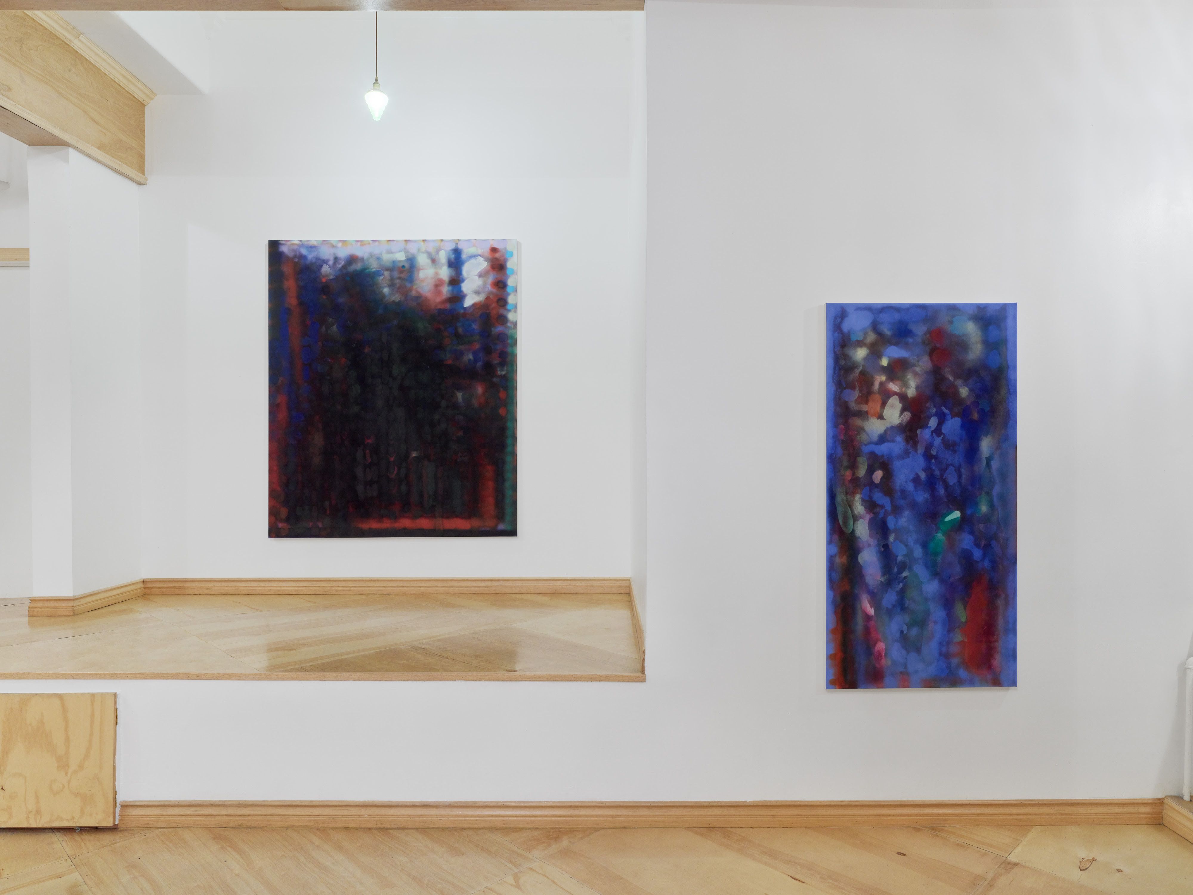 Sara Ludy, Later Fields at Smart Objects, photo 3