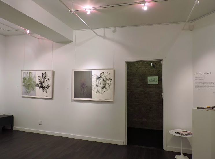 Barbara Edelstein, Leaf In The Air at Christian Duvernois Gallery, photo 4