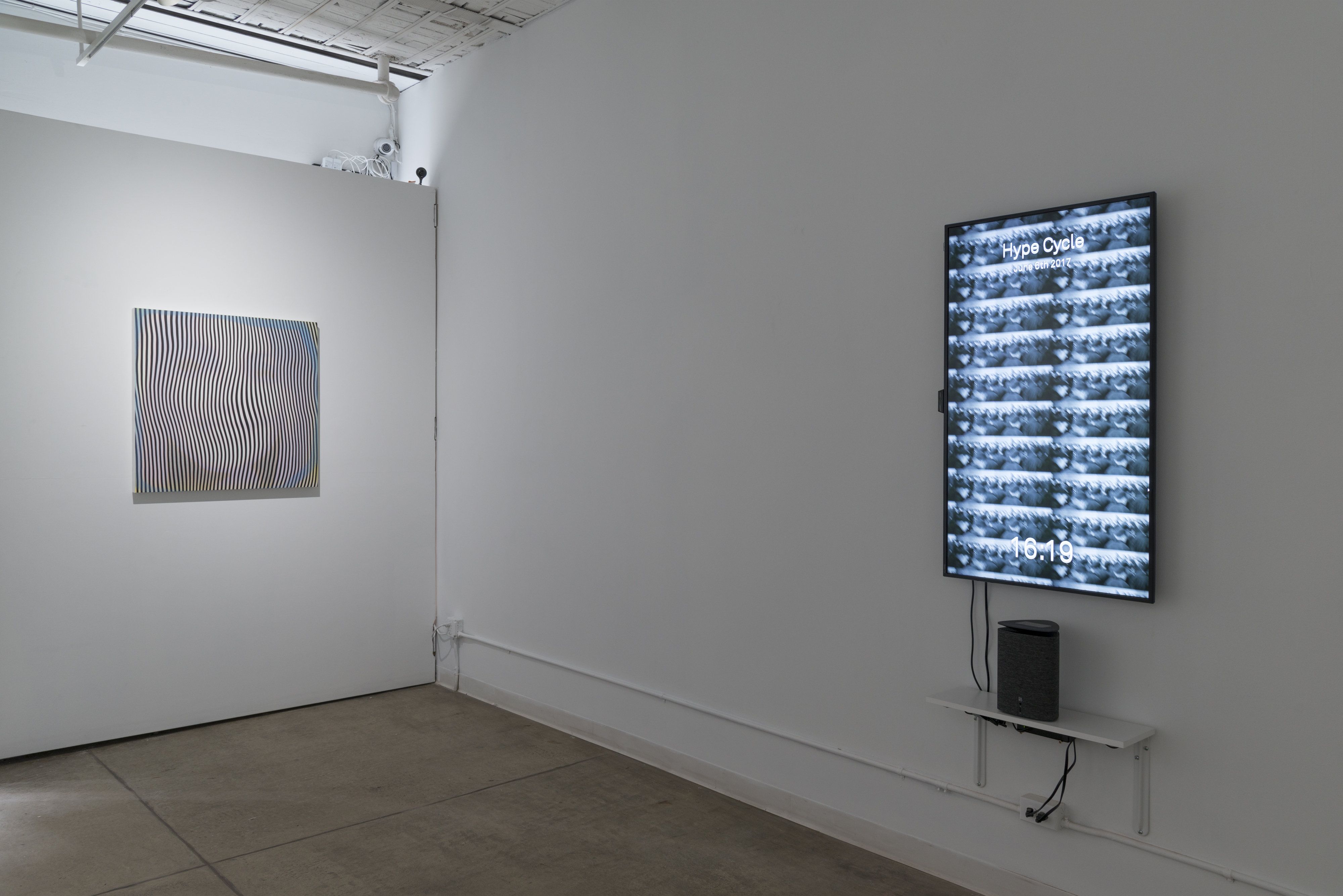 Nature, Nature at Castor Gallery, photo 3