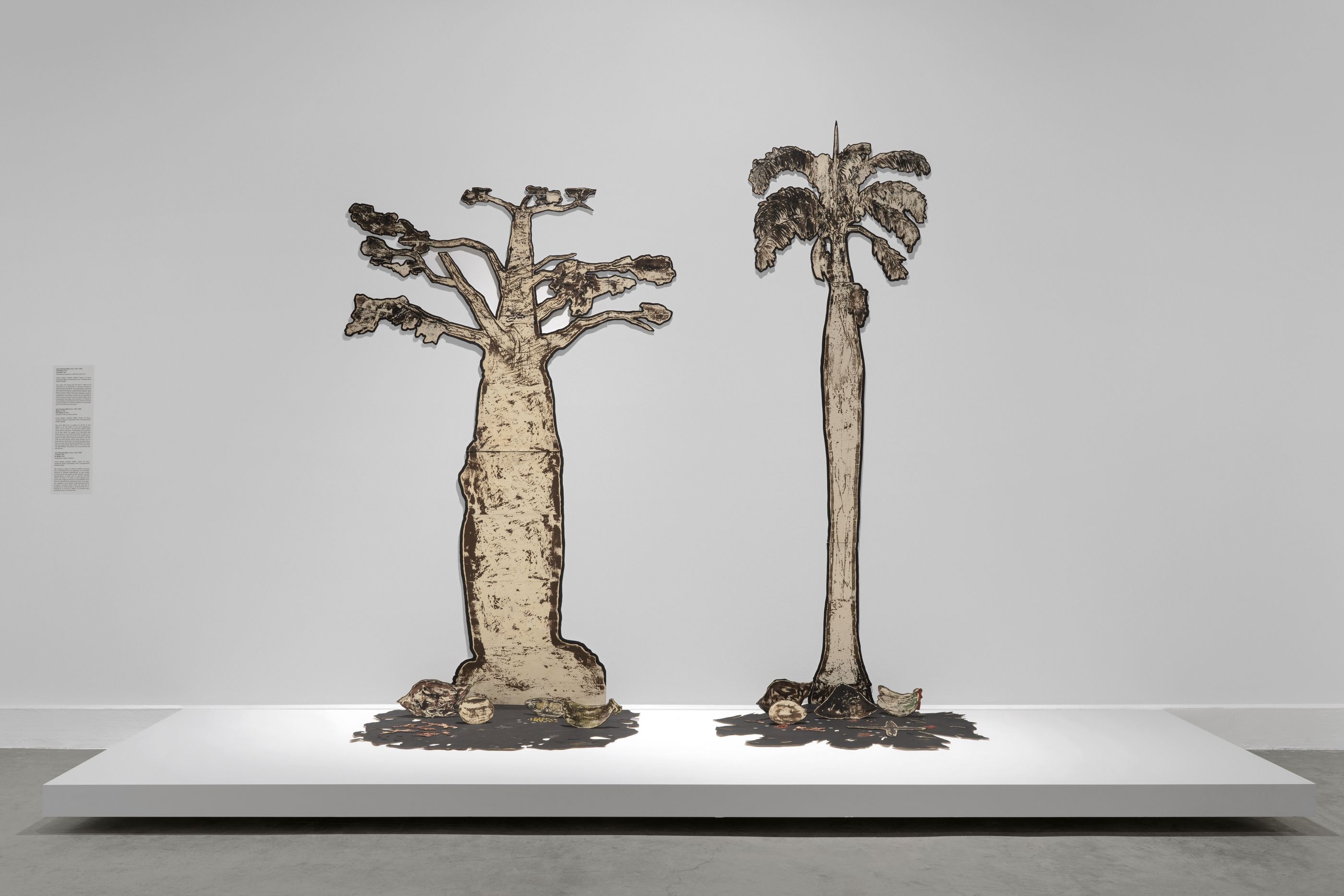 Juan Francisco Elso, Por América at MOCA North Miami, photo 8