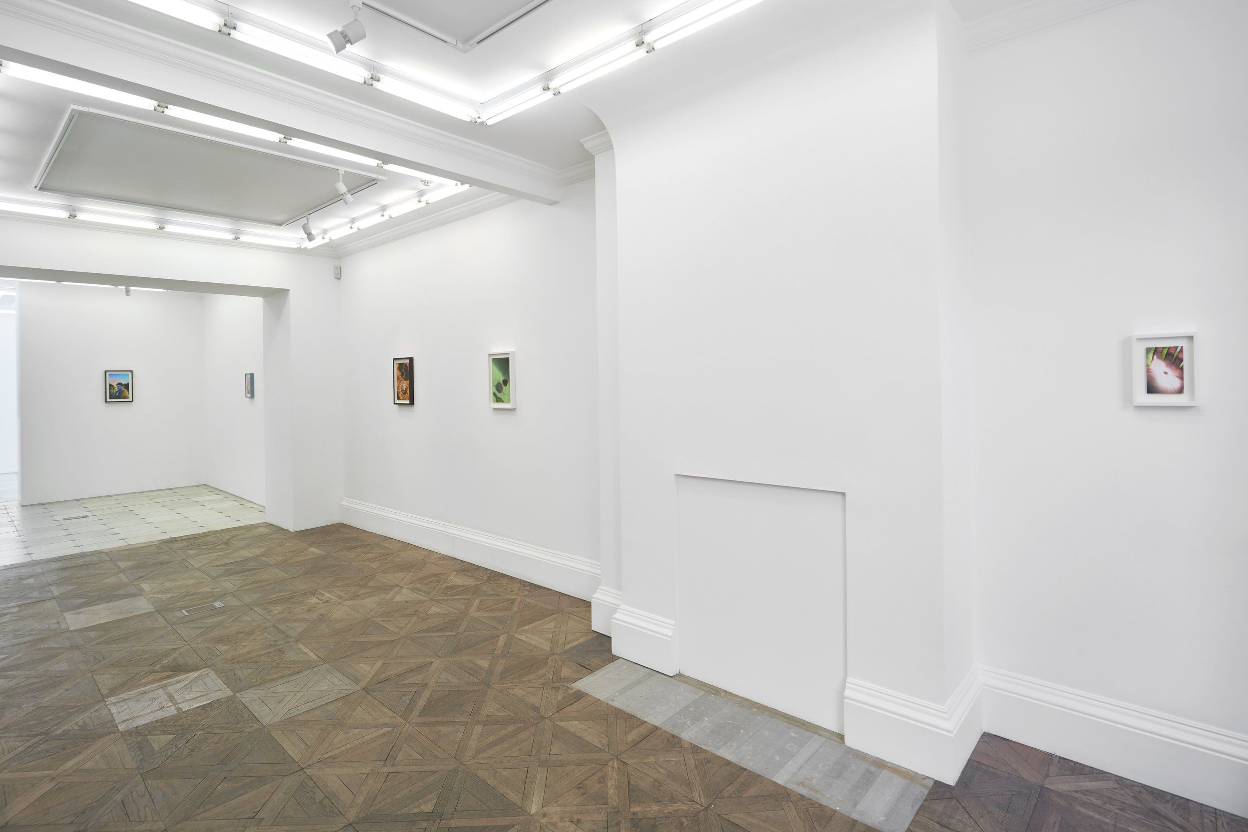 Cary Kwok, Cary Kwok at Herald St, photo 2