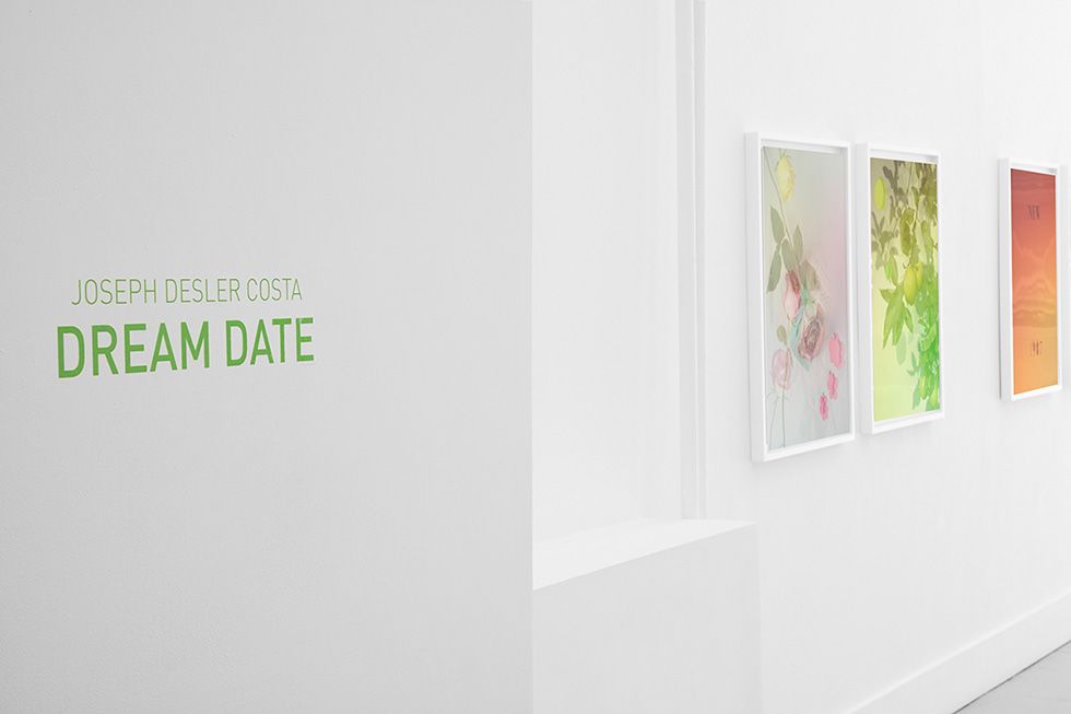 Joseph Desler Costa, Dream Date at ClampArt, photo 13
