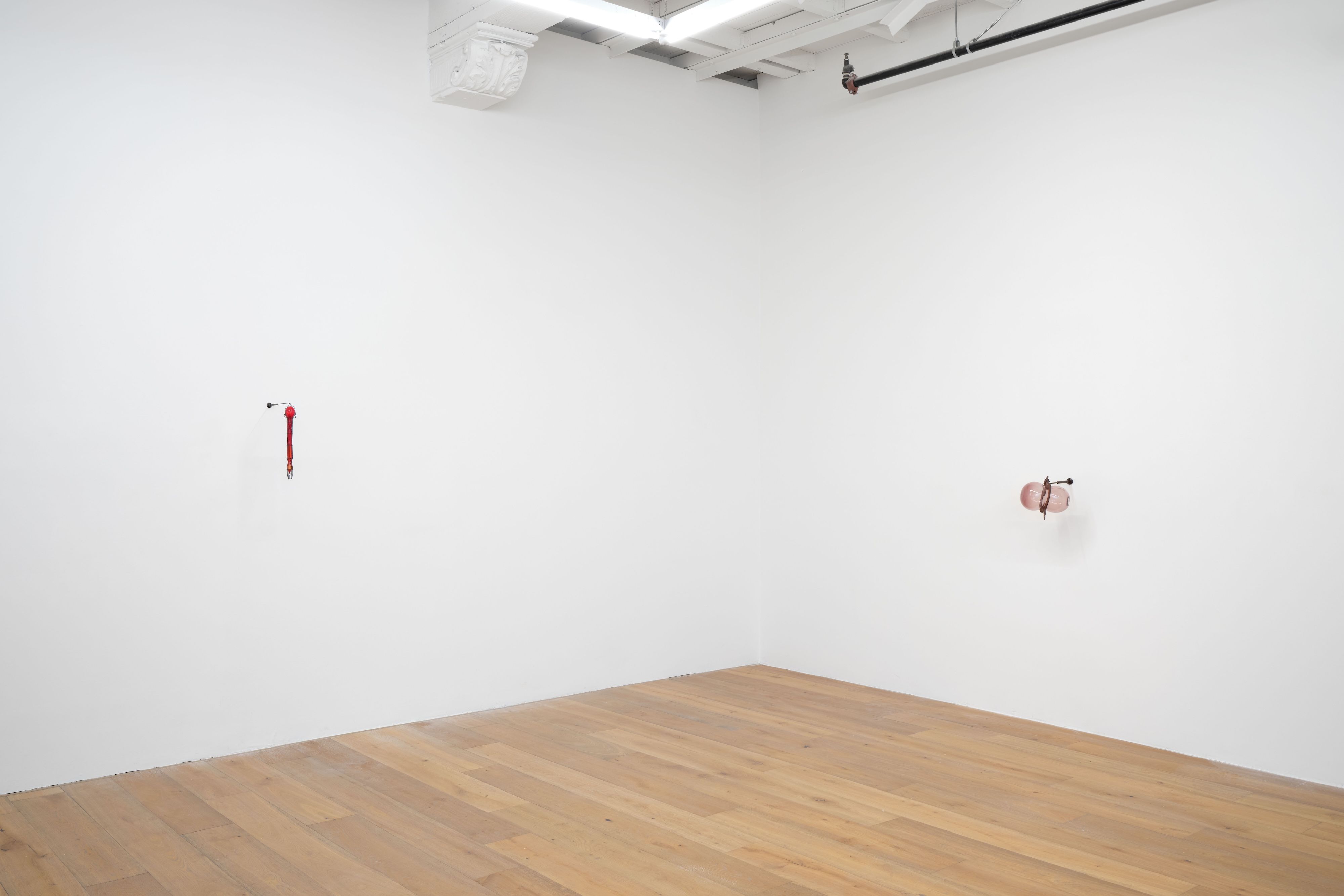 Sula Bermudez-Silverman, Mole, Mold, Molt at Hannah Hoffman, photo 8