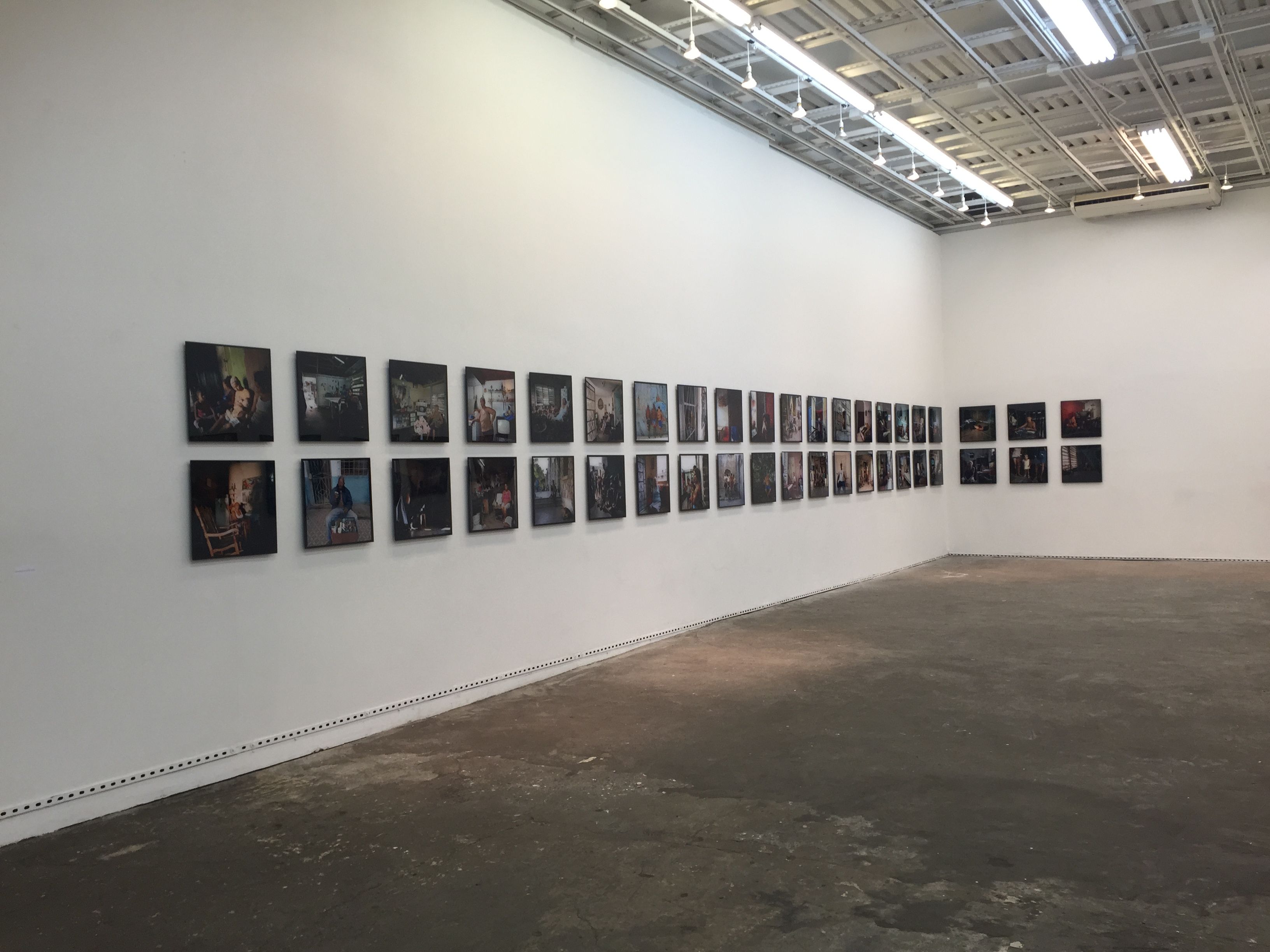 Anthropological Landscape, Anthropological Landscape at WhiteBox, photo 2