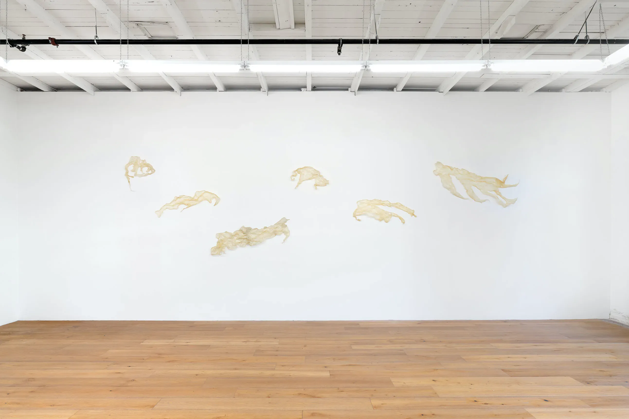 Rosemary Mayer, Noon Has No Shadows at Hannah Hoffman, photo 5