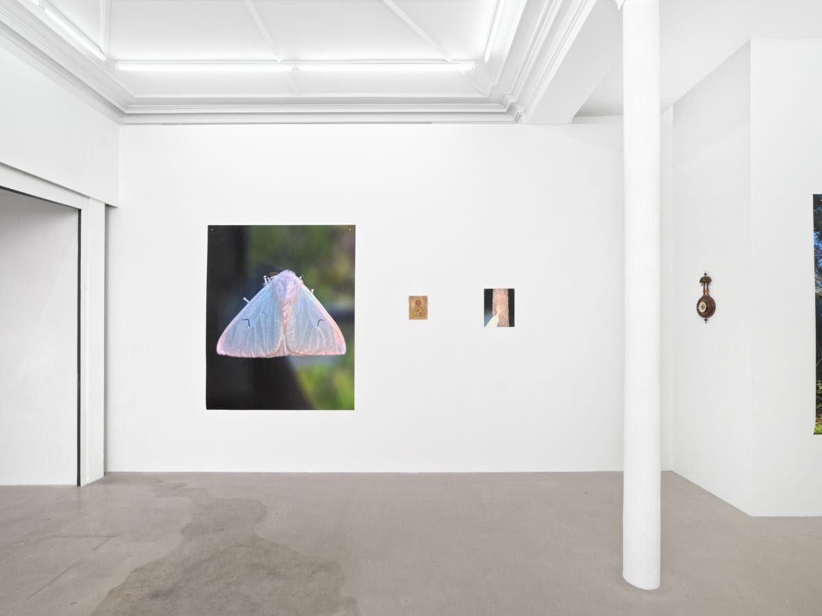 Alina Chaiderov, St. Panteleimon at Ciaccia Levi, photo 3