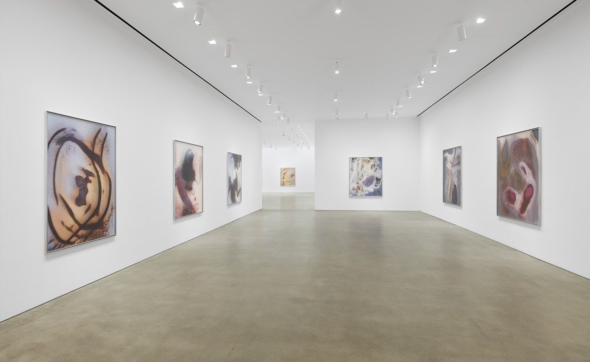 Anicka Yi, ÄLñ§ñ at Gladstone, photo 6