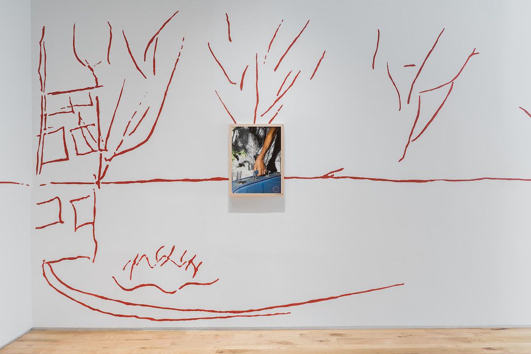 Sheida Soleimani, image 2 of 4