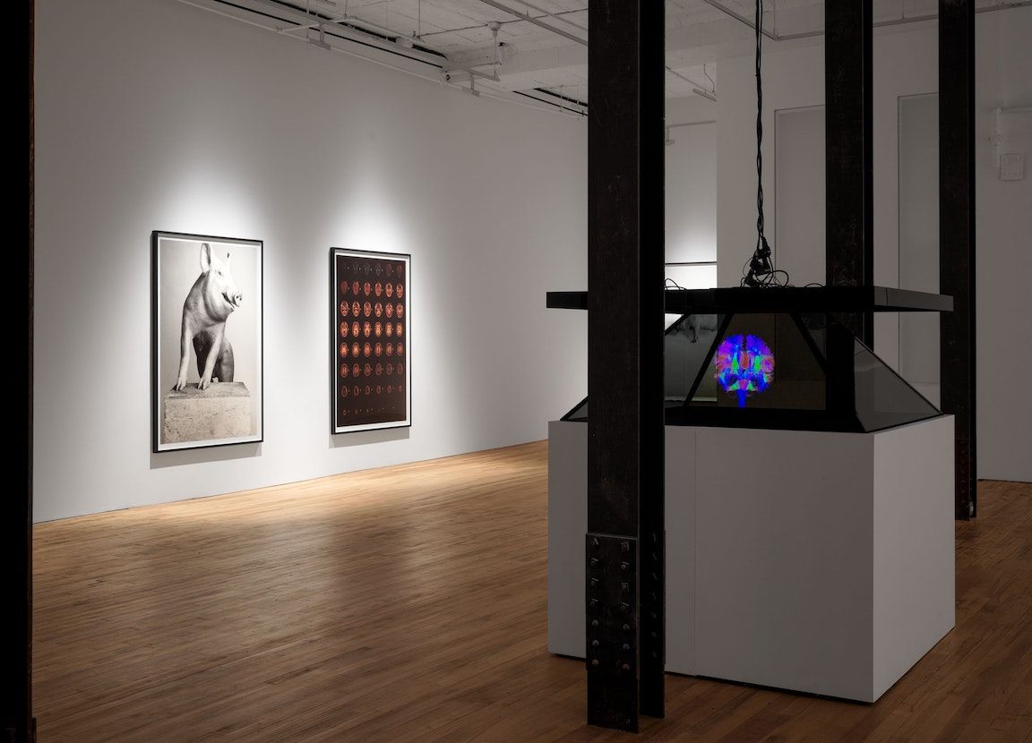 Heji Shin, The Big Nudes at 52 Walker, photo 5