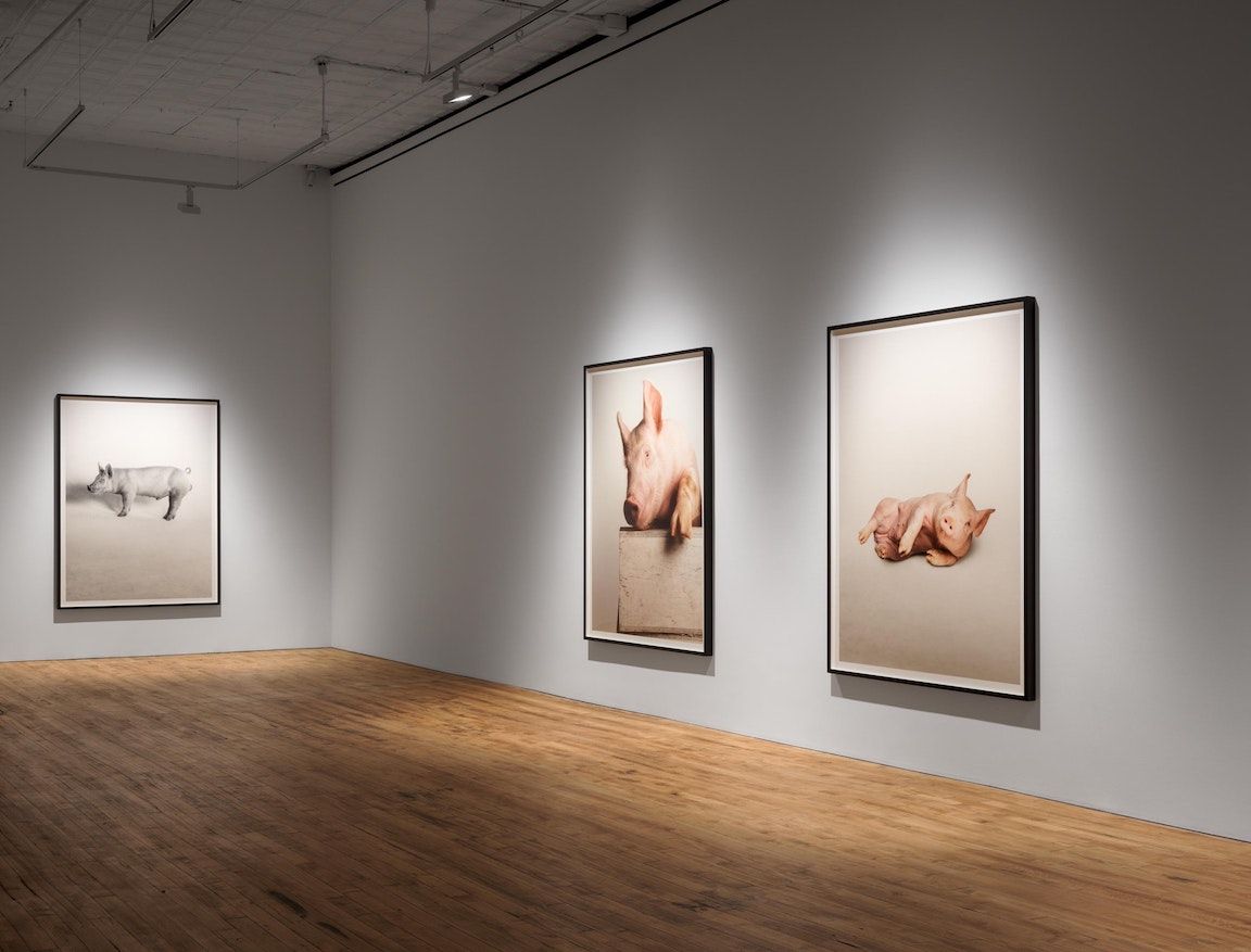 Heji Shin, The Big Nudes at 52 Walker, photo 8