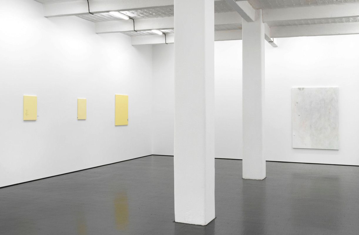 Monika Baer, Die Einholung at Barbara Weiss, photo 5