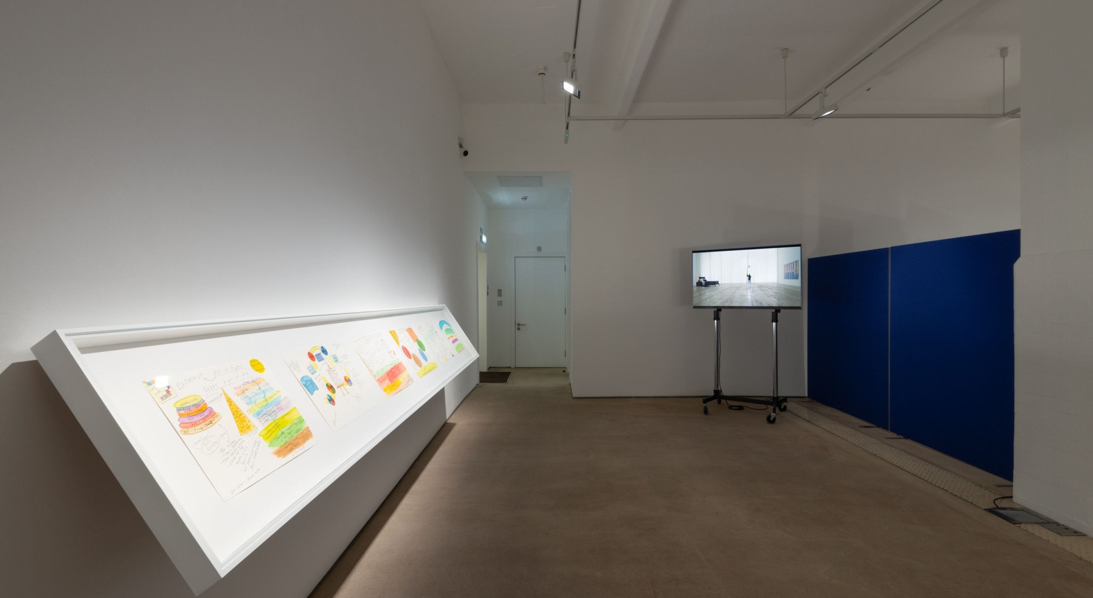 Michael Smith, Yet another show of drawings and videos reflecting on youth, ageing and a future of retirement by Michael Smith at Hales, photo 3