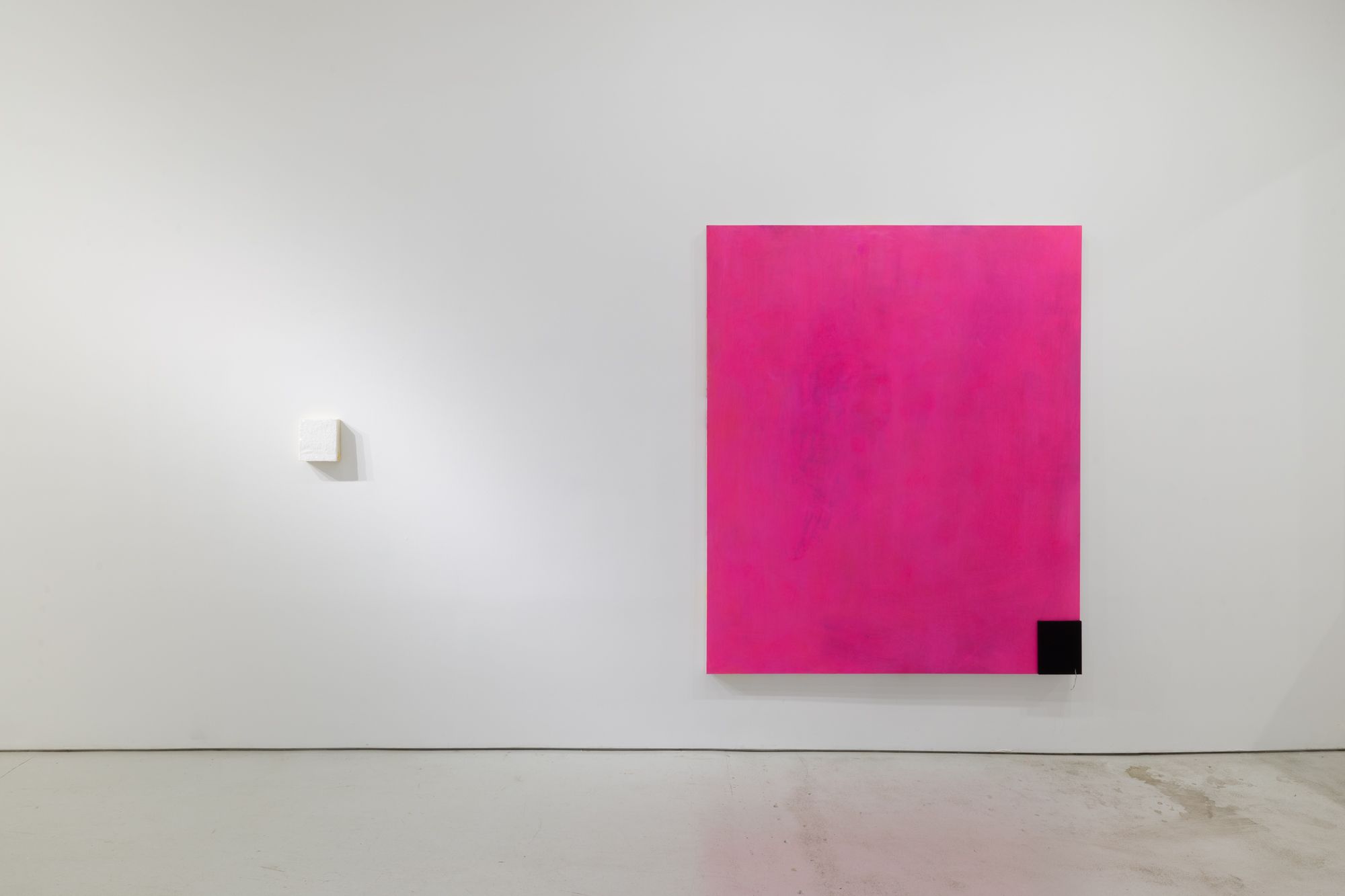 Astrid Dick, Kamikaze Ponzi at Art Cake, photo 2