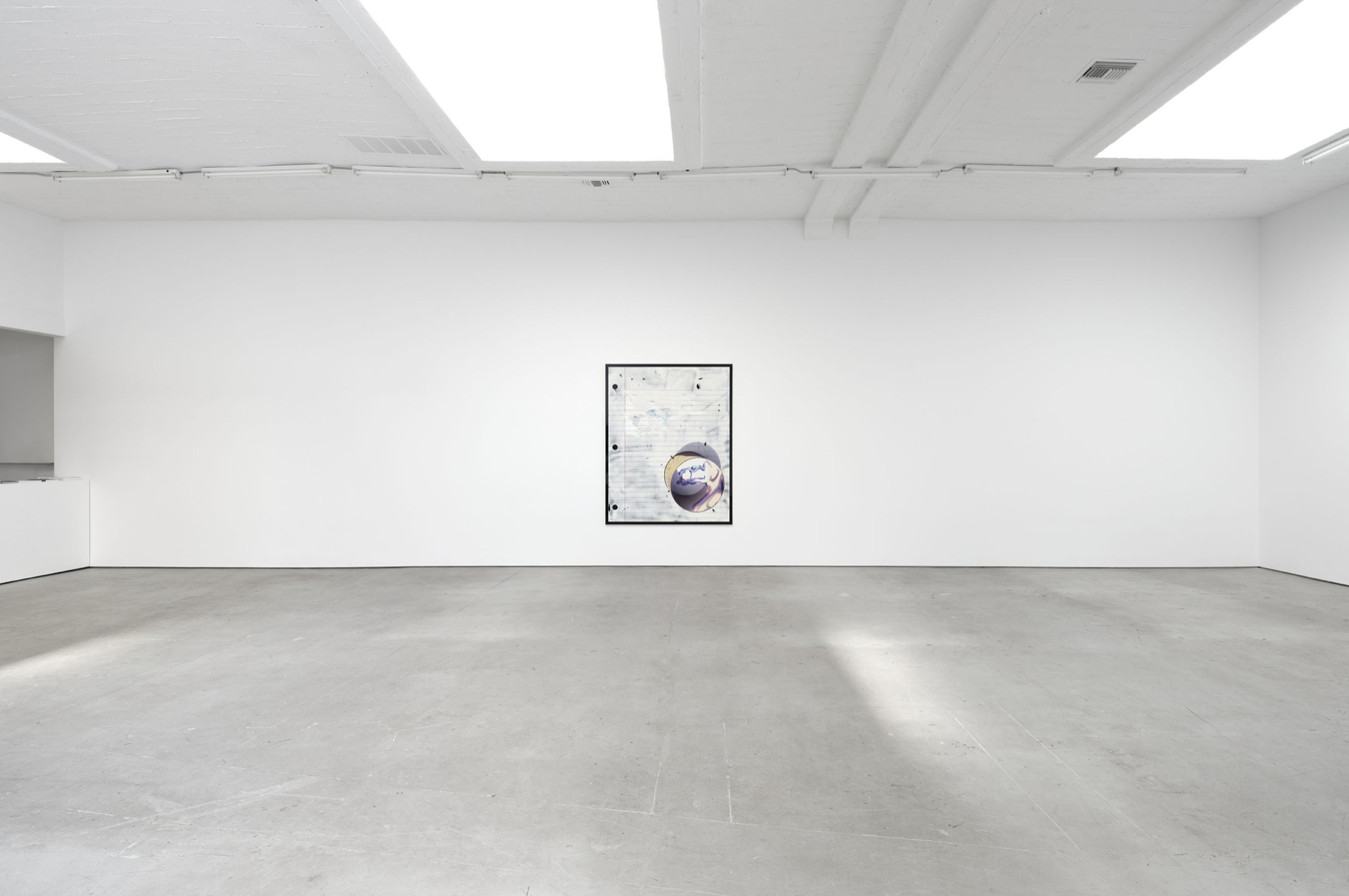 Seth Price, I Don't Miss My Mind at Gaga & Reena Spaulings, photo 4