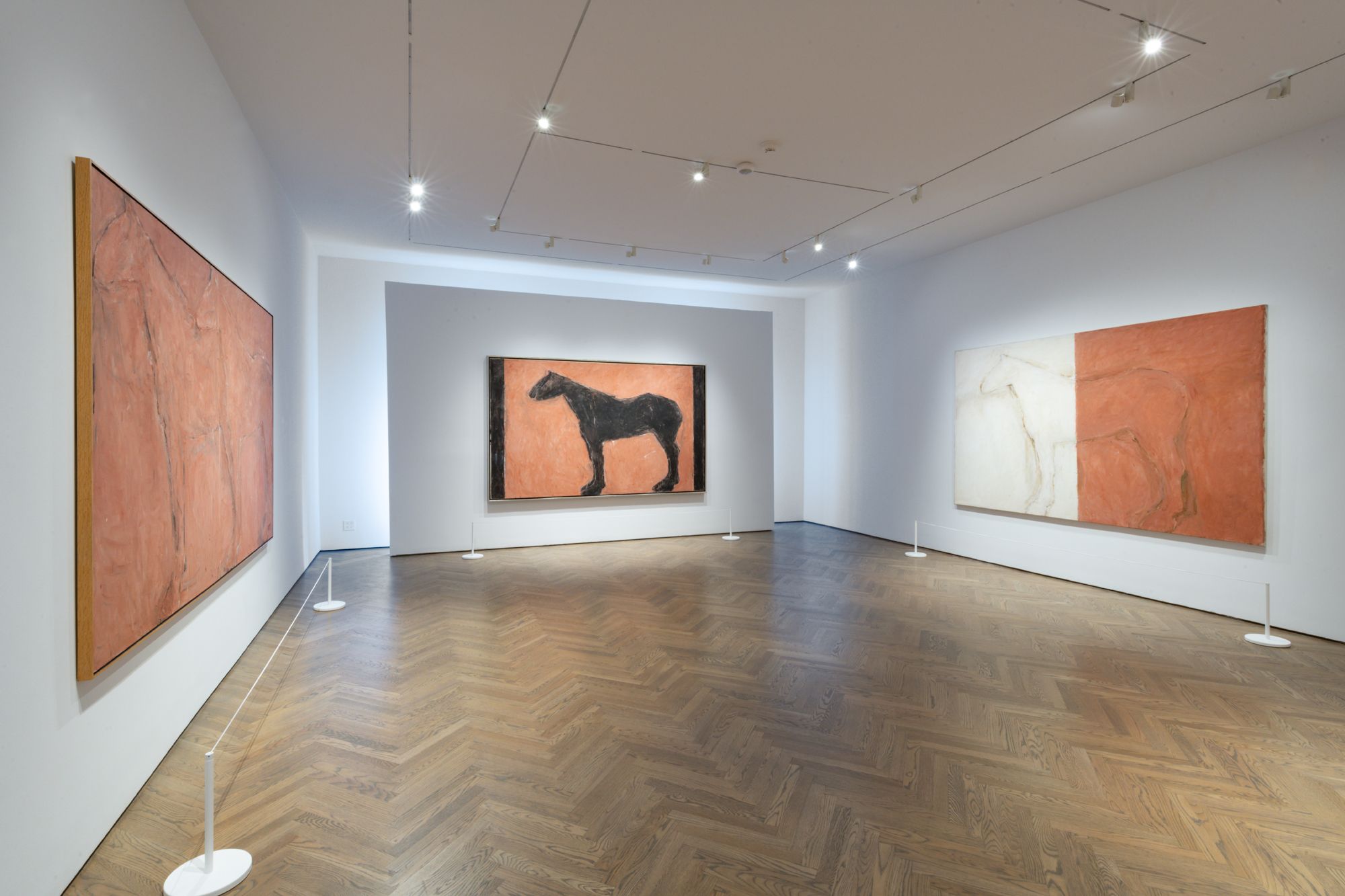 Susan Rothenberg, On Both Sides of My Line at Gray, photo 2