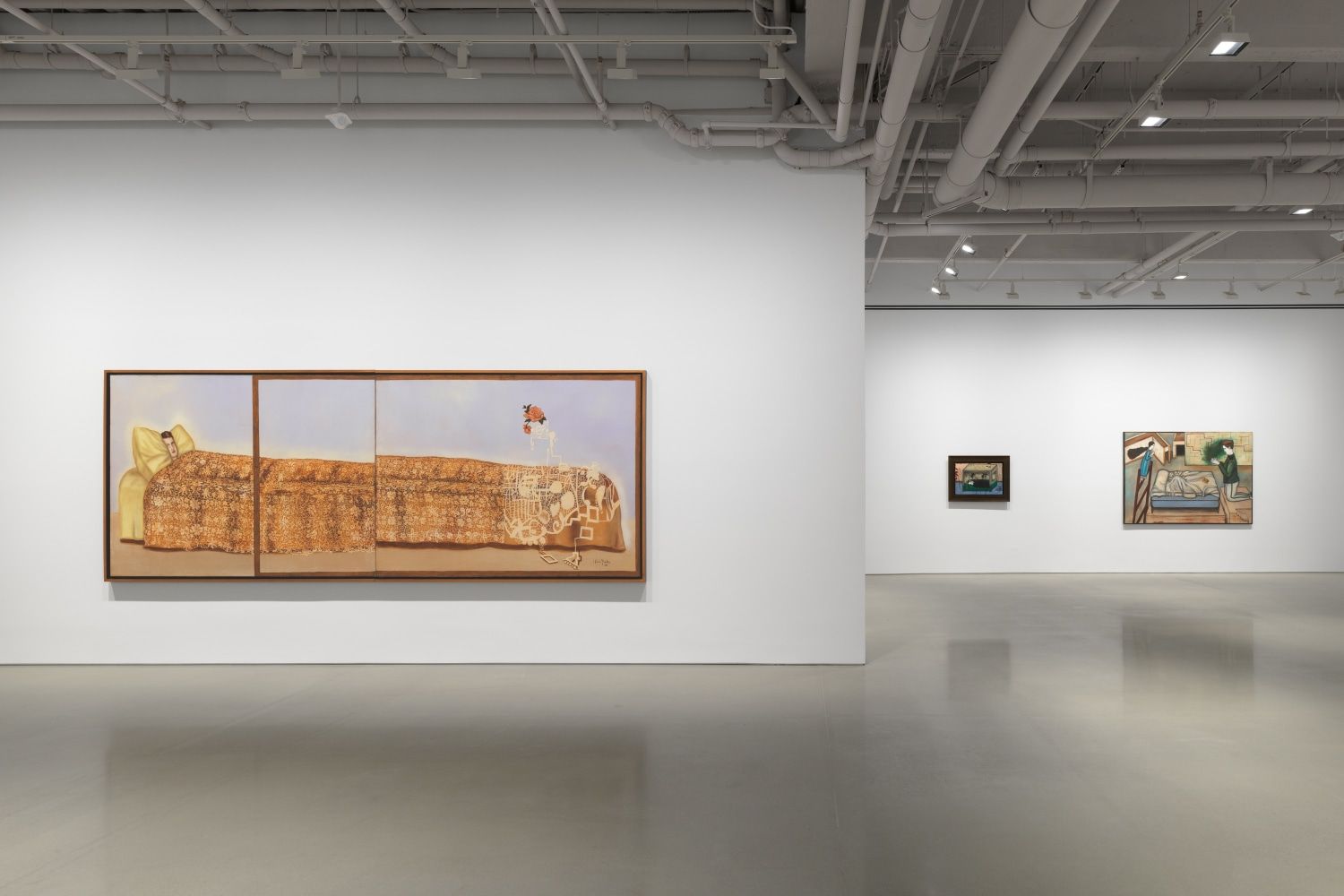 Julio Galán, Julio Galán at Kurimanzutto, photo 3